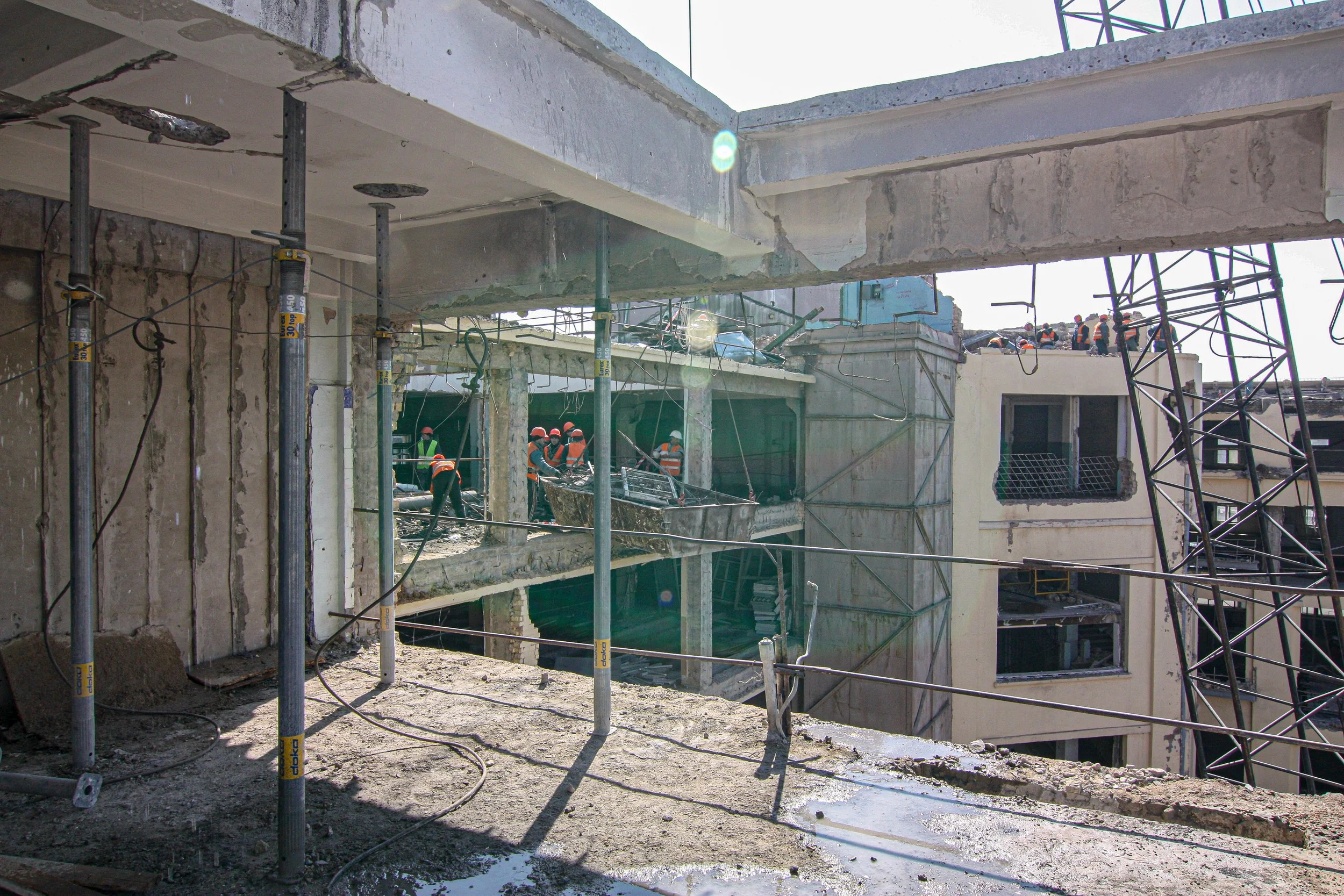 IMG_9984.jpg