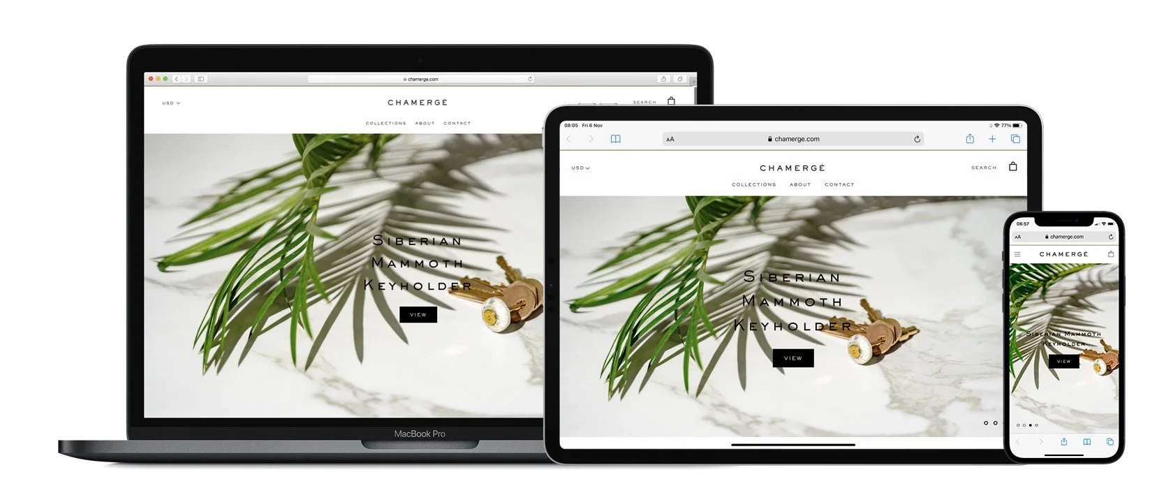 shopifywhy.jpg