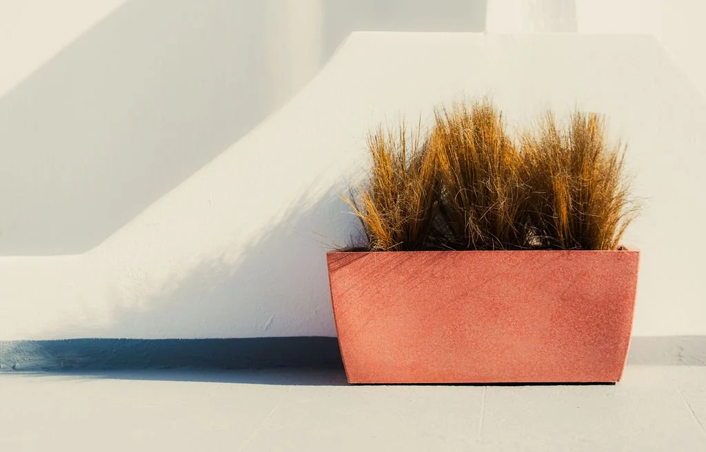 Red rectangular planter with dried brown grass, placed on a white surface with a white wall and shadow in the background.