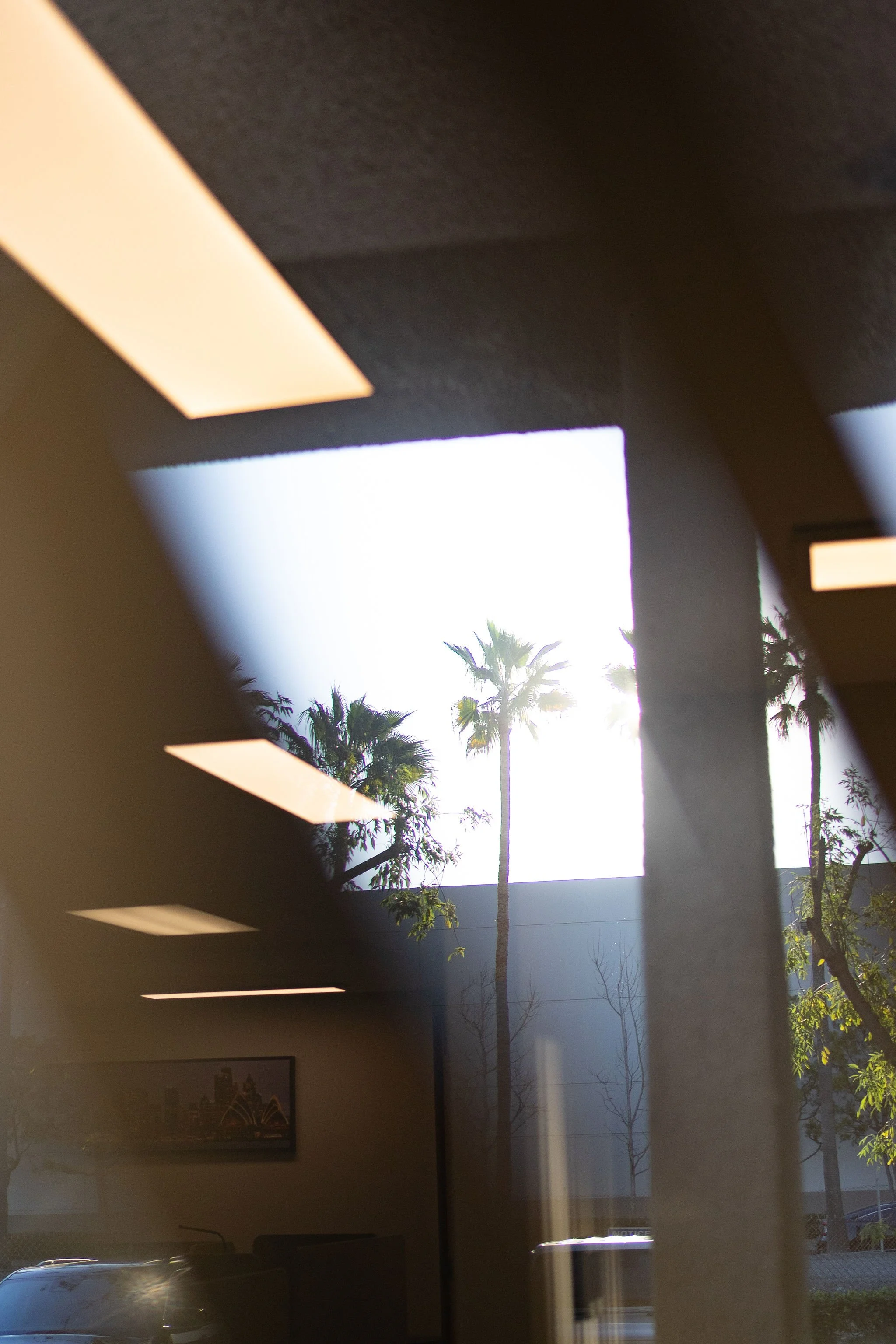 View through a window showing palm trees outdoors, with reflections of ceiling lights inside a room.