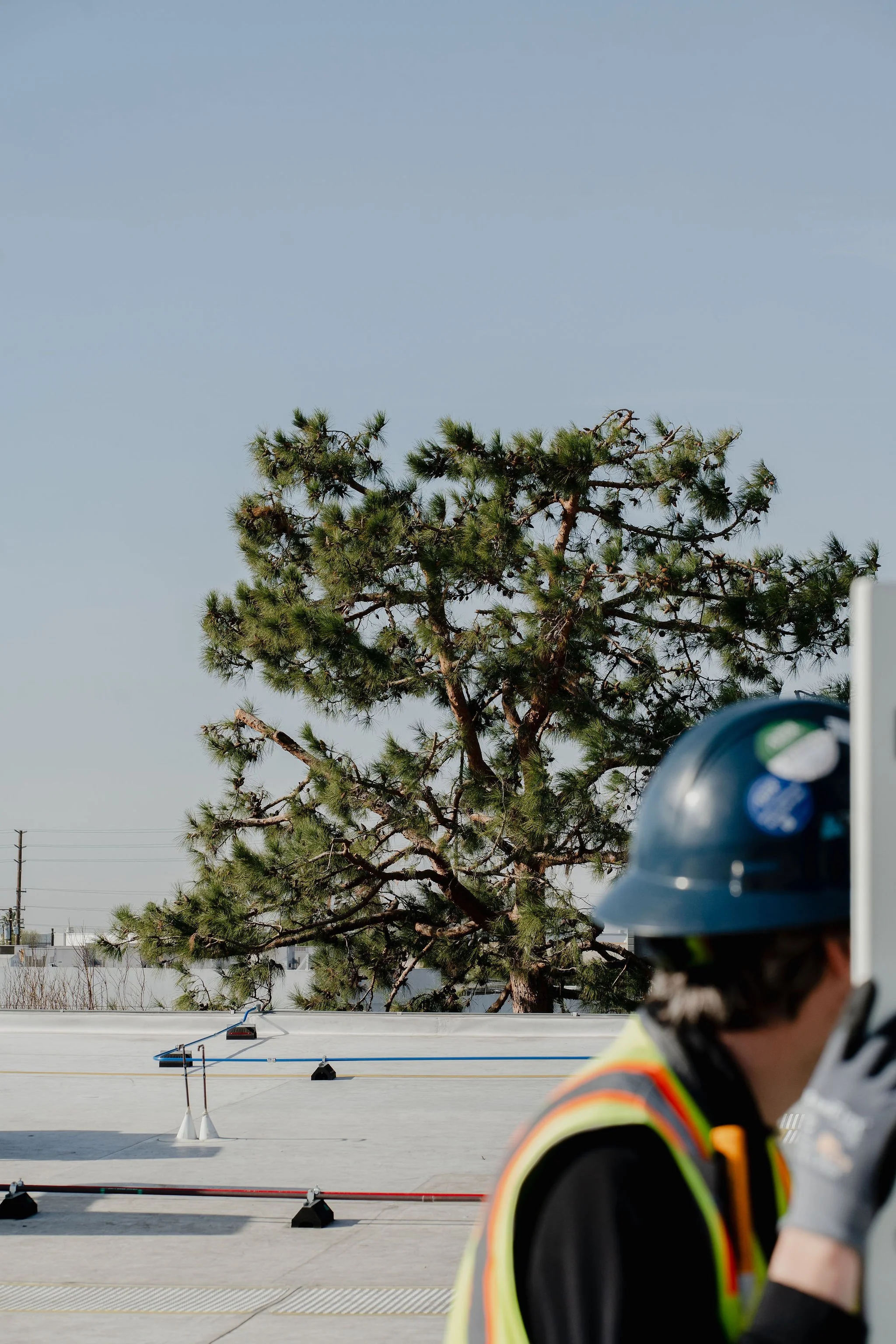 Person in safety gear and helmet is talking on a mobile phone on a rooftop with a large tree and clear sky in the background.