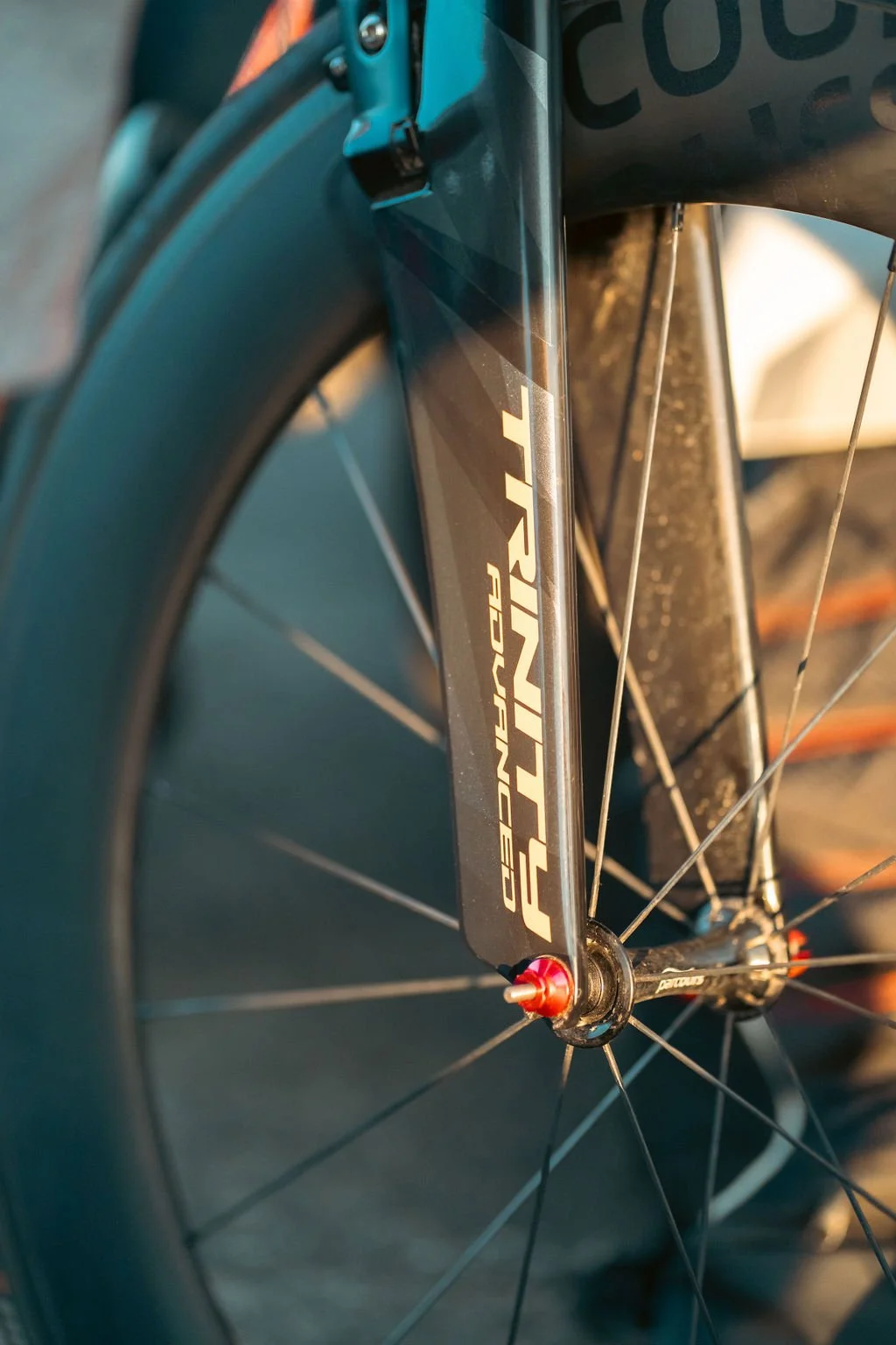 Close-up of part of a bicycle wheel and fork, showing the brand 'Tarmac' and 'Progeometry' on the bike frame.