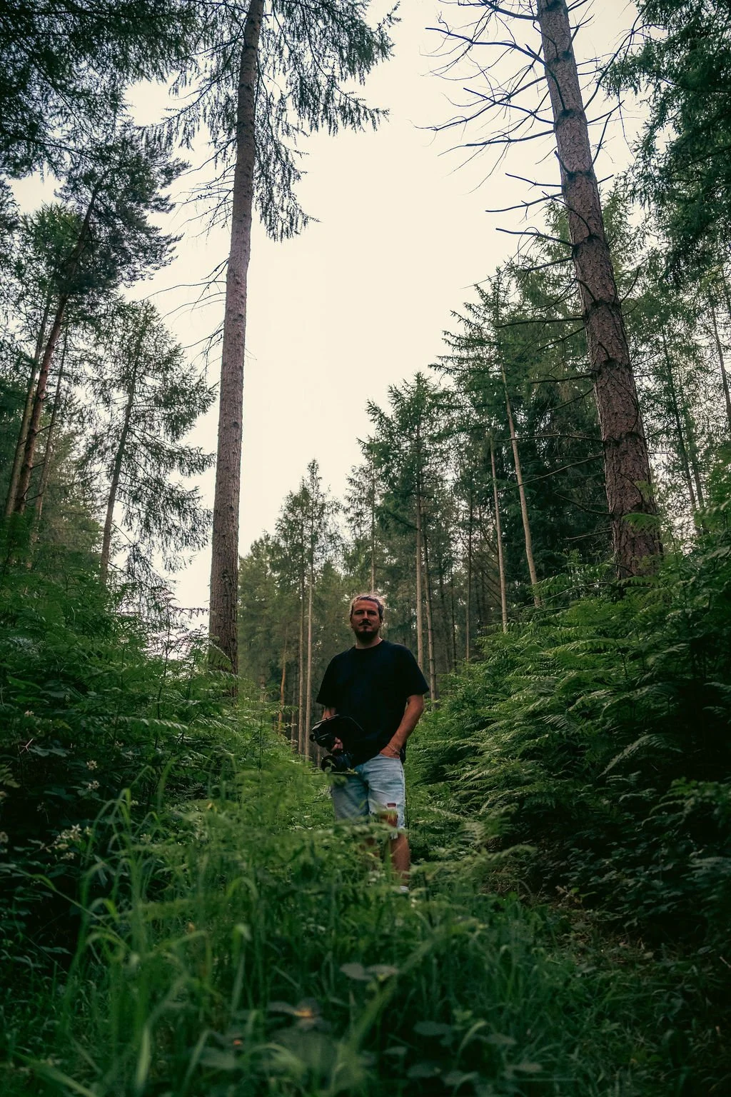 Man standing in a dense forest with tall trees and lush green foliage.