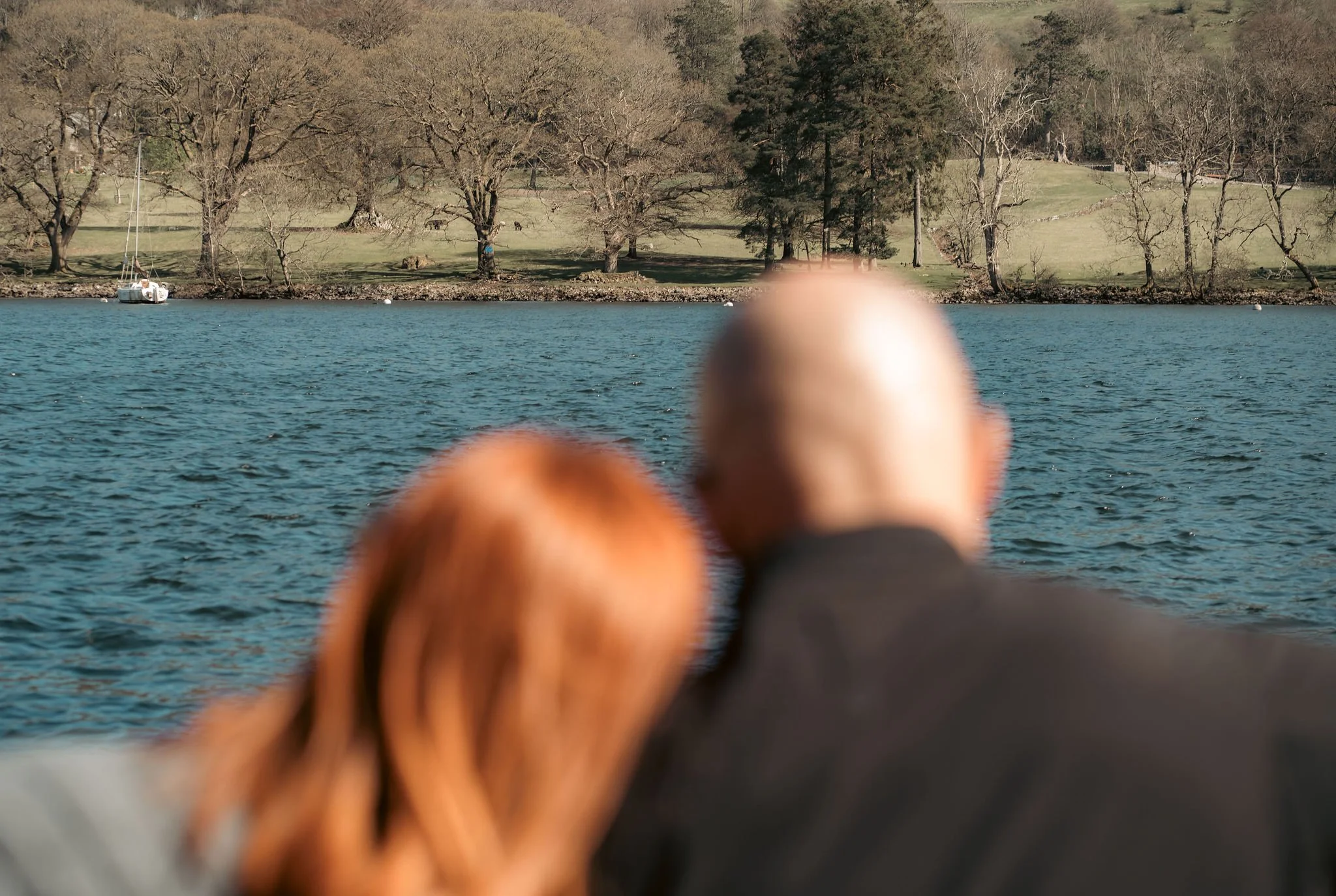 Two people sitting by a lake, viewed from behind, with trees and a sailboat in the background.