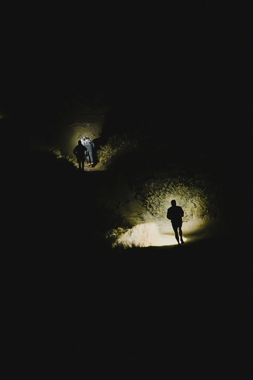 Nighttime scene of four people hiking on a dirt trail with flashlights in a dark, wooded area.