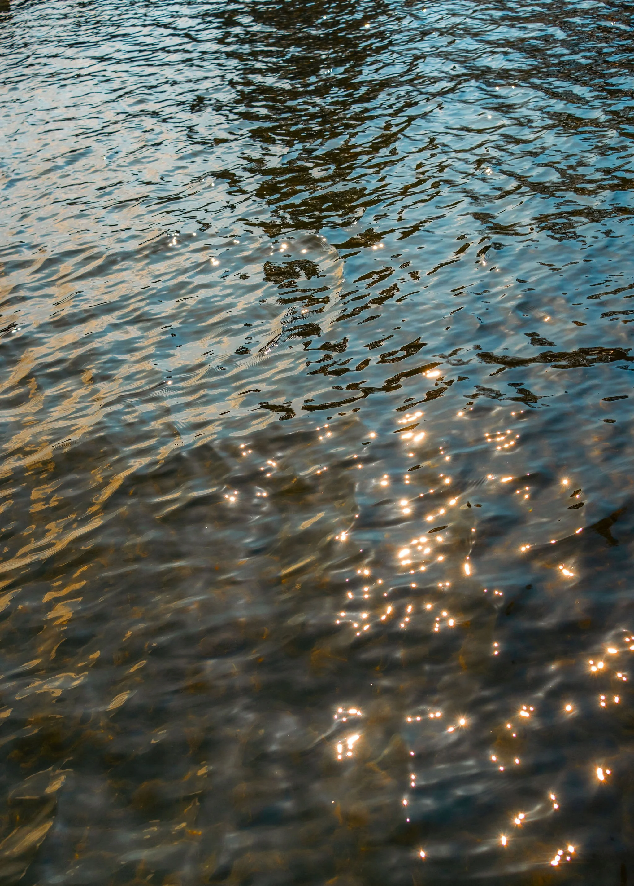 Sunlight reflecting on water with gentle ripples.