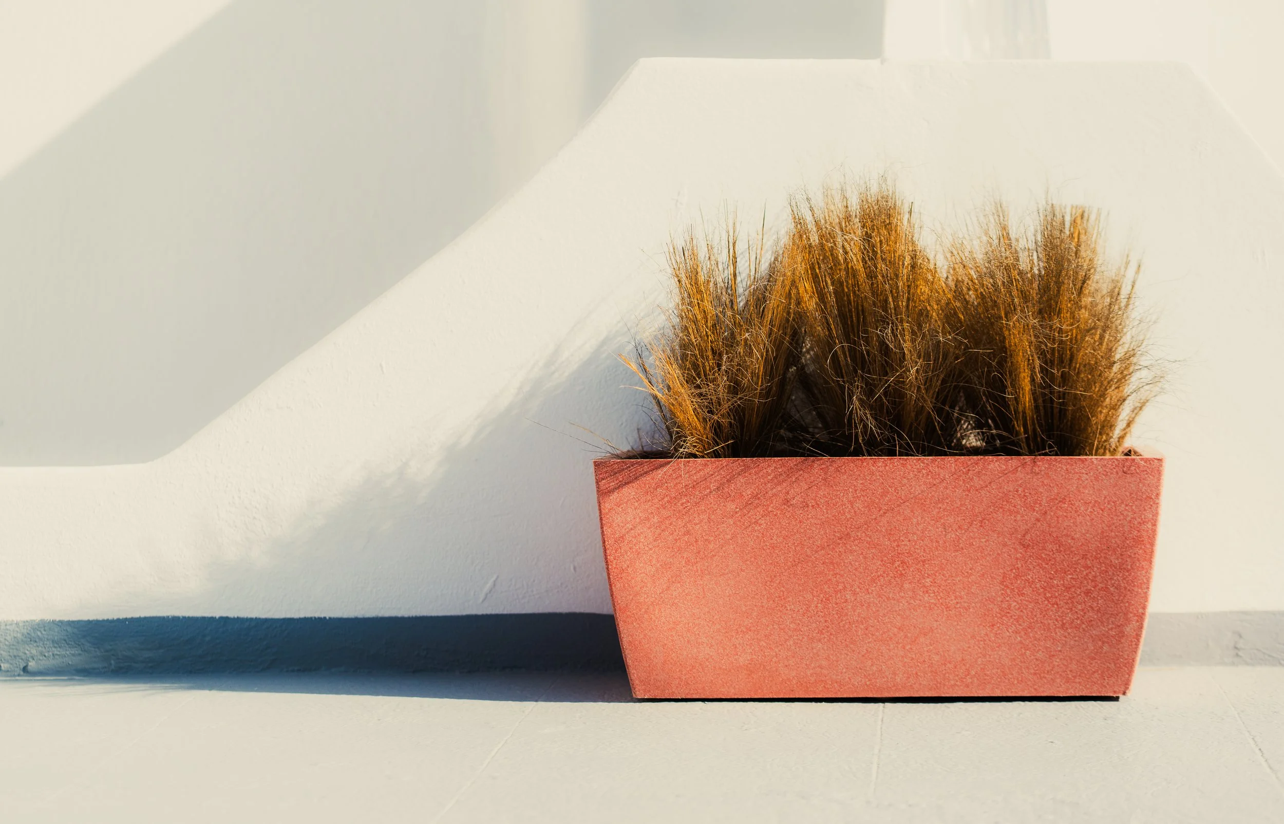 A pink rectangular planter with dried brown grass on a white surface against a white wall, casting a shadow.