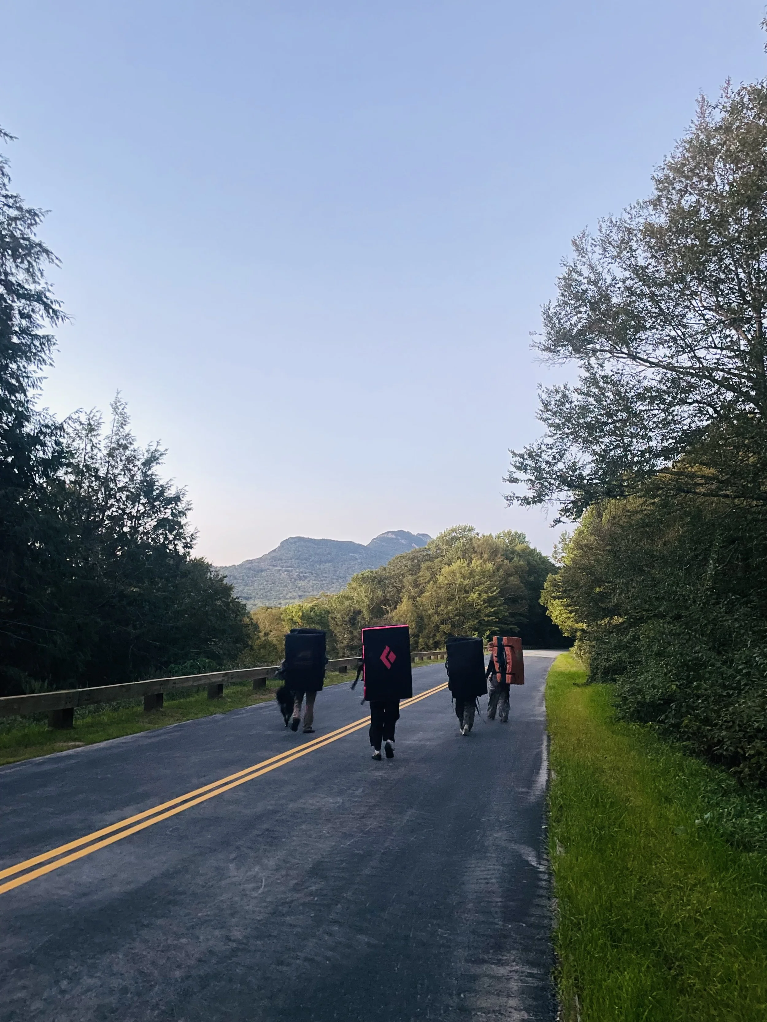 Group of five hikers walking on a rural mountain road with backpacks and outdoor gear, surrounded by trees and mountains under a clear sky.