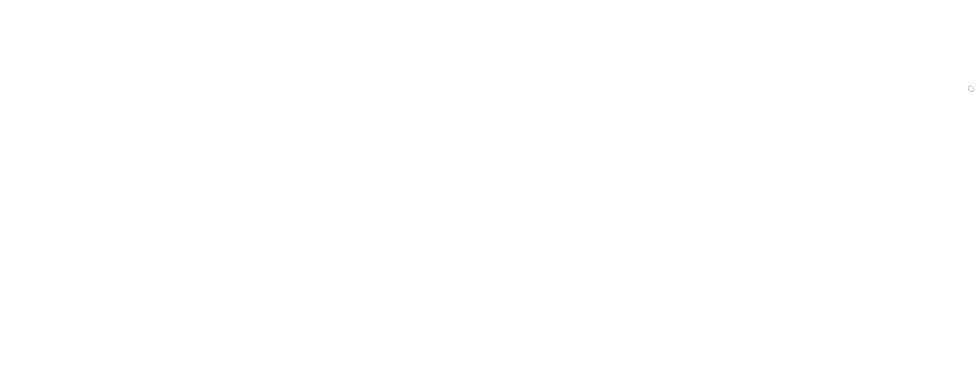 Camp Vertica