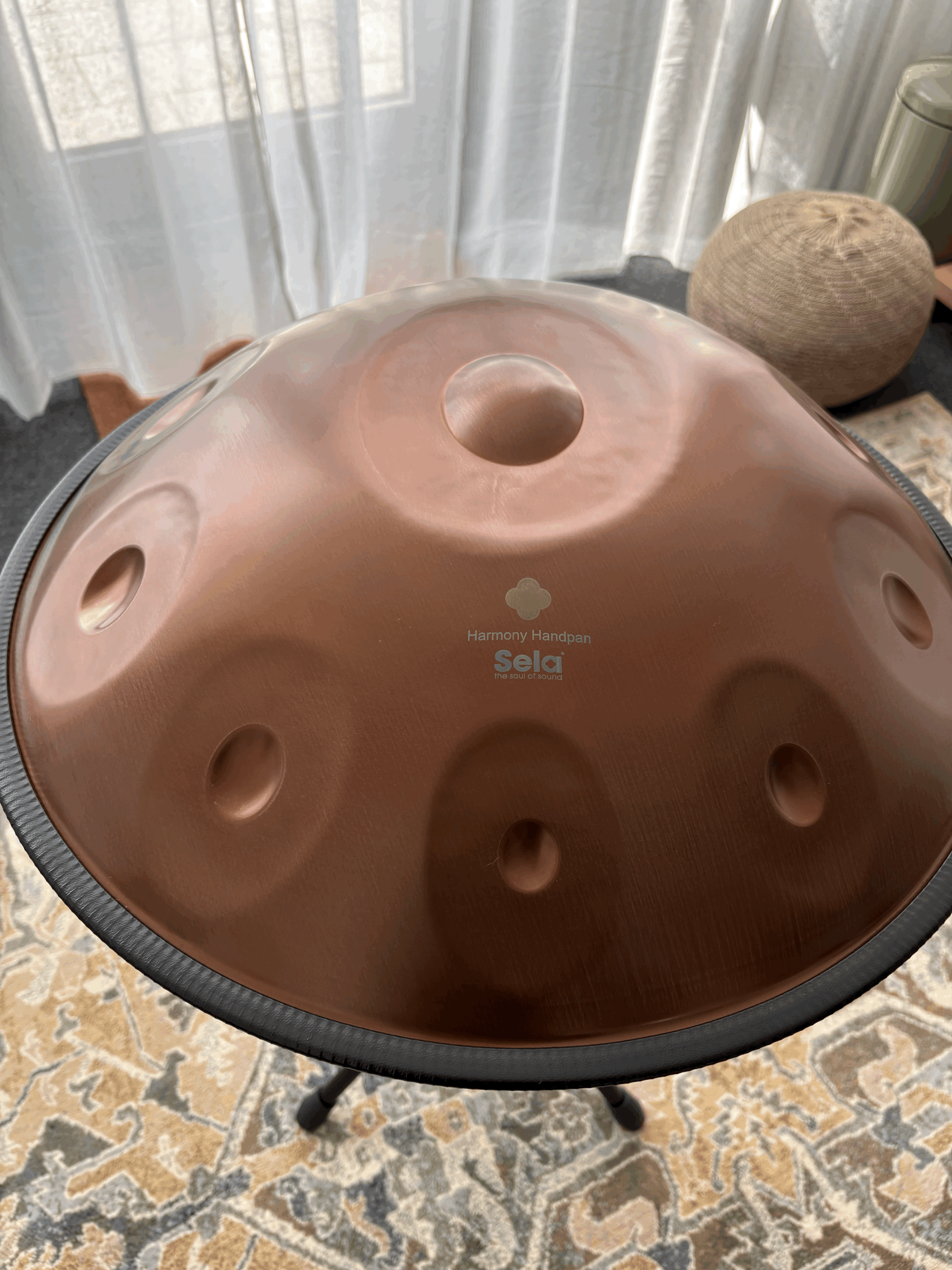 Sela Phoenix Handpan D Kurd SE 320