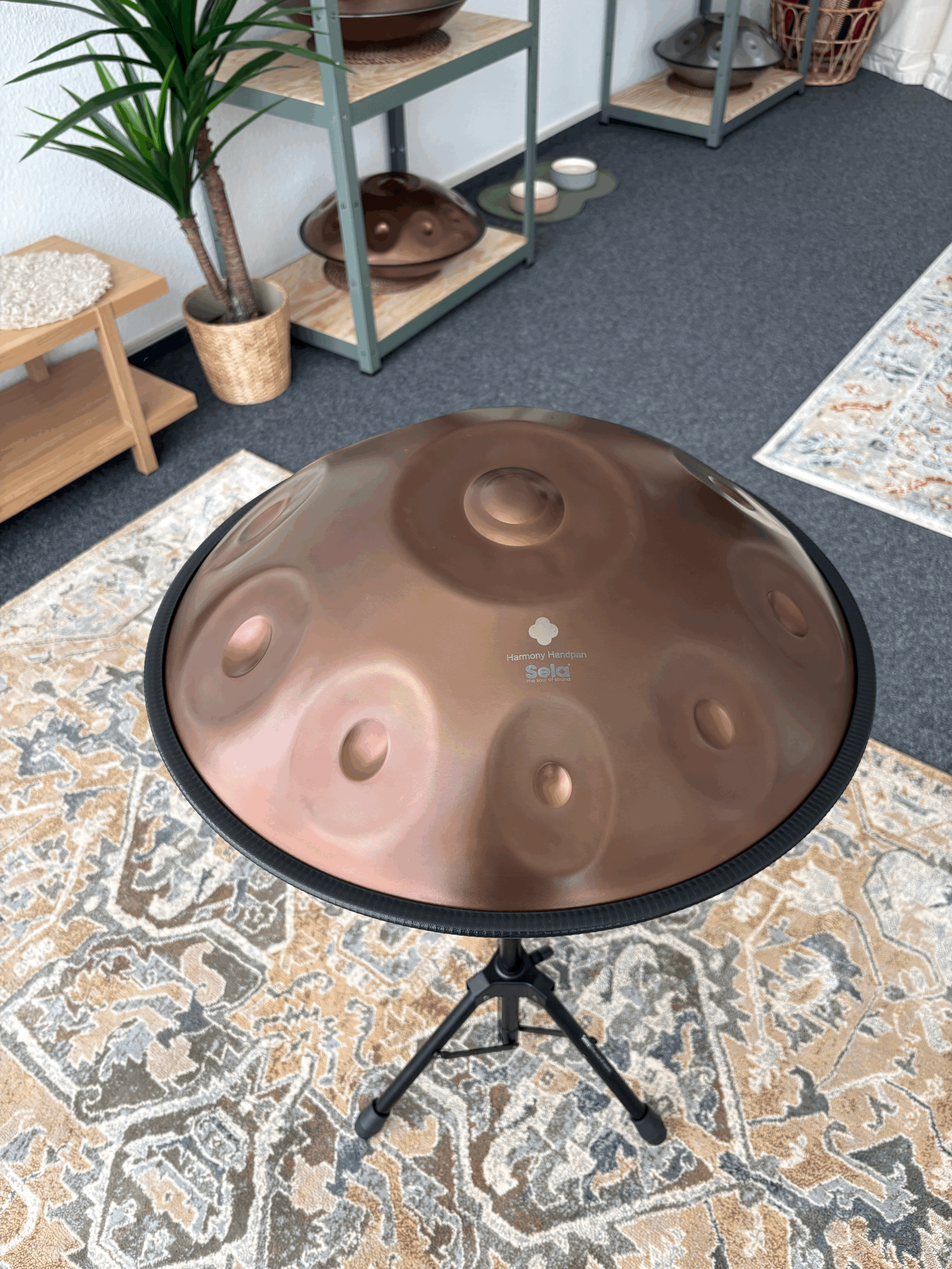 Sela Harmony Handpan Ember Steel D Kurd 10