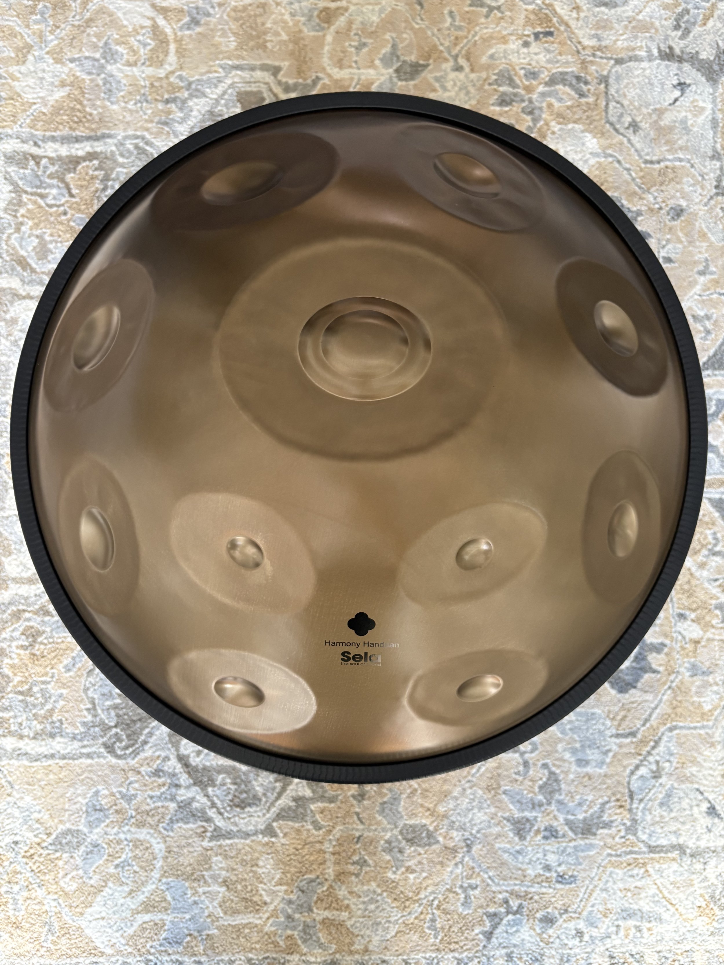 Sela Harmony D Kurd 12+2 Handpan (SE201): 1.299 €