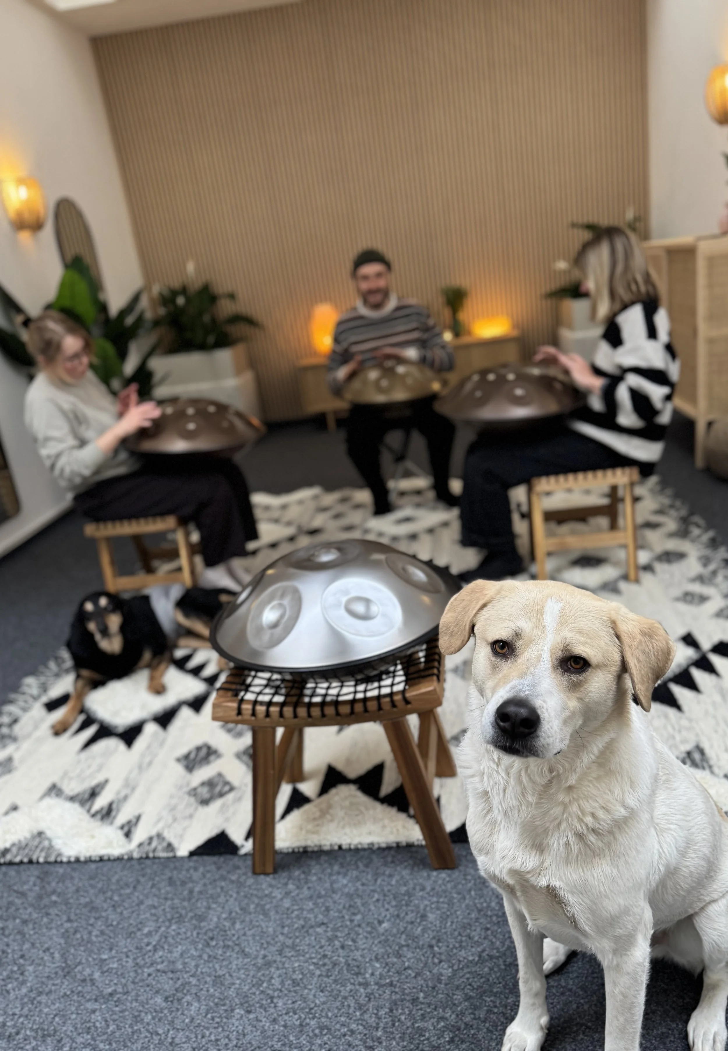 Handpan lernen in Hannovers erster Handpanschule im Stadtgebiet. Handpan Showroom in Hannover, Handpan lernen, Handpan kaufen