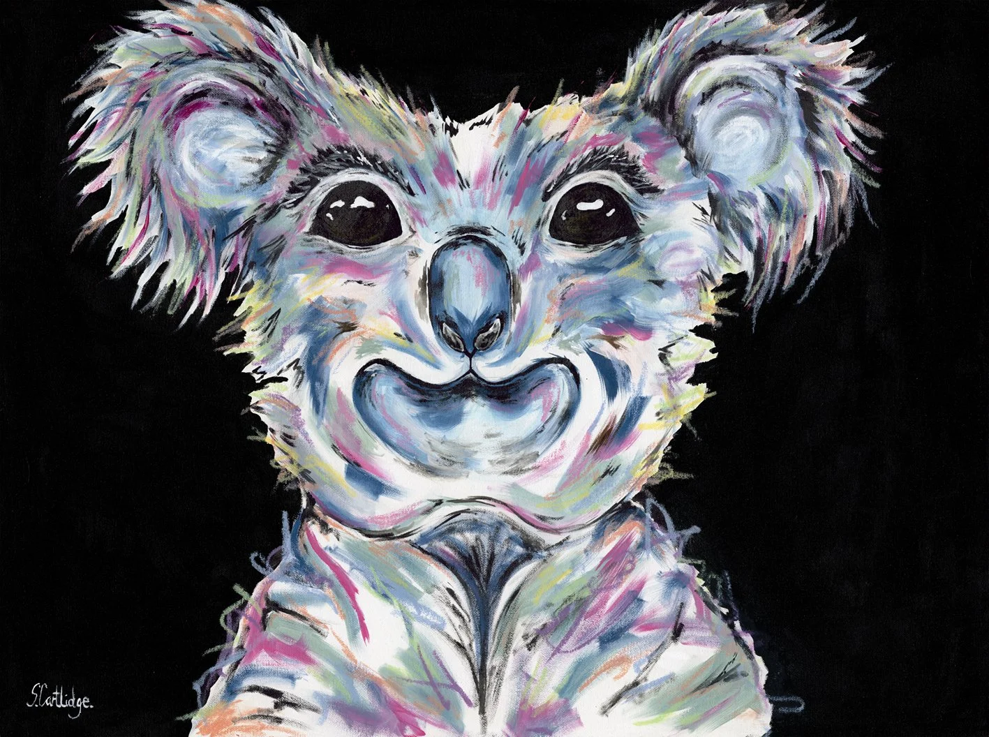 SC Koala Low Res for web.jpg