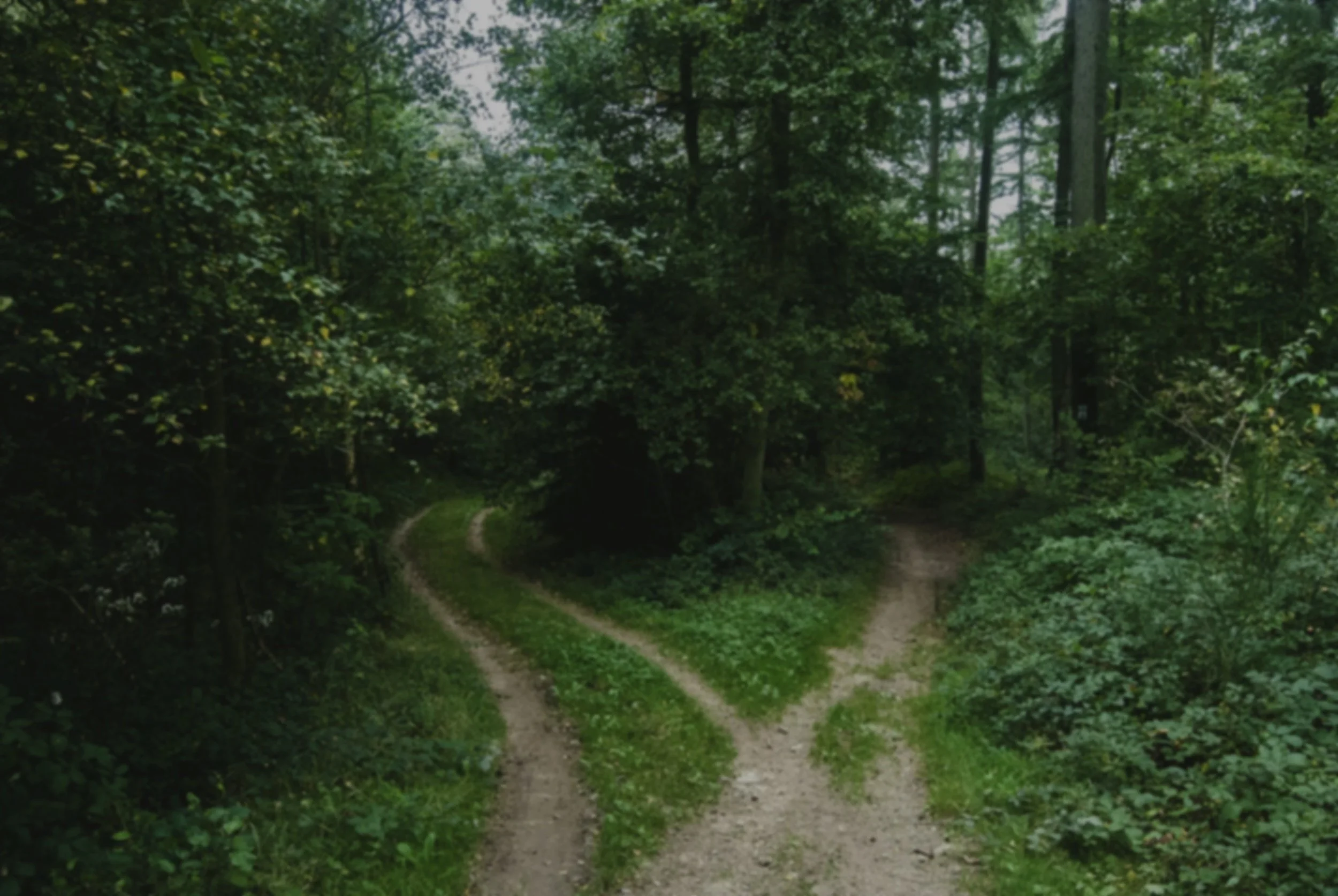 Adult child of immigrant navigating conflict between family expectations and personal goals