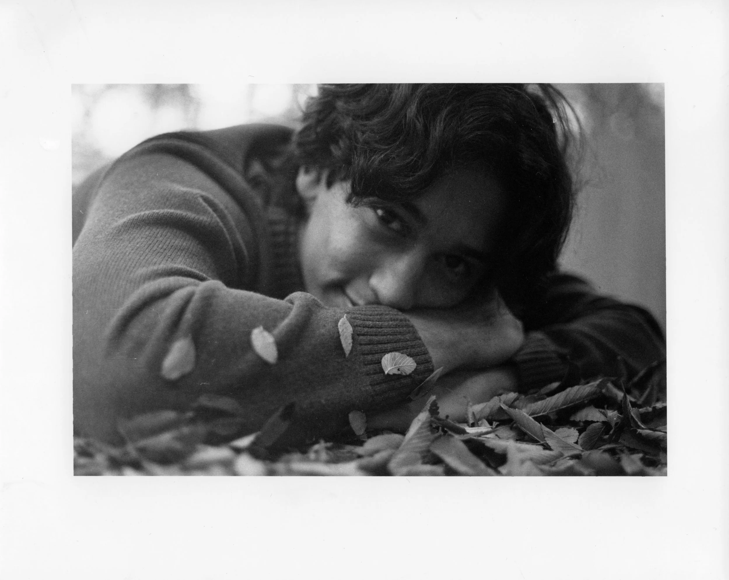 In the Leaves | 2025