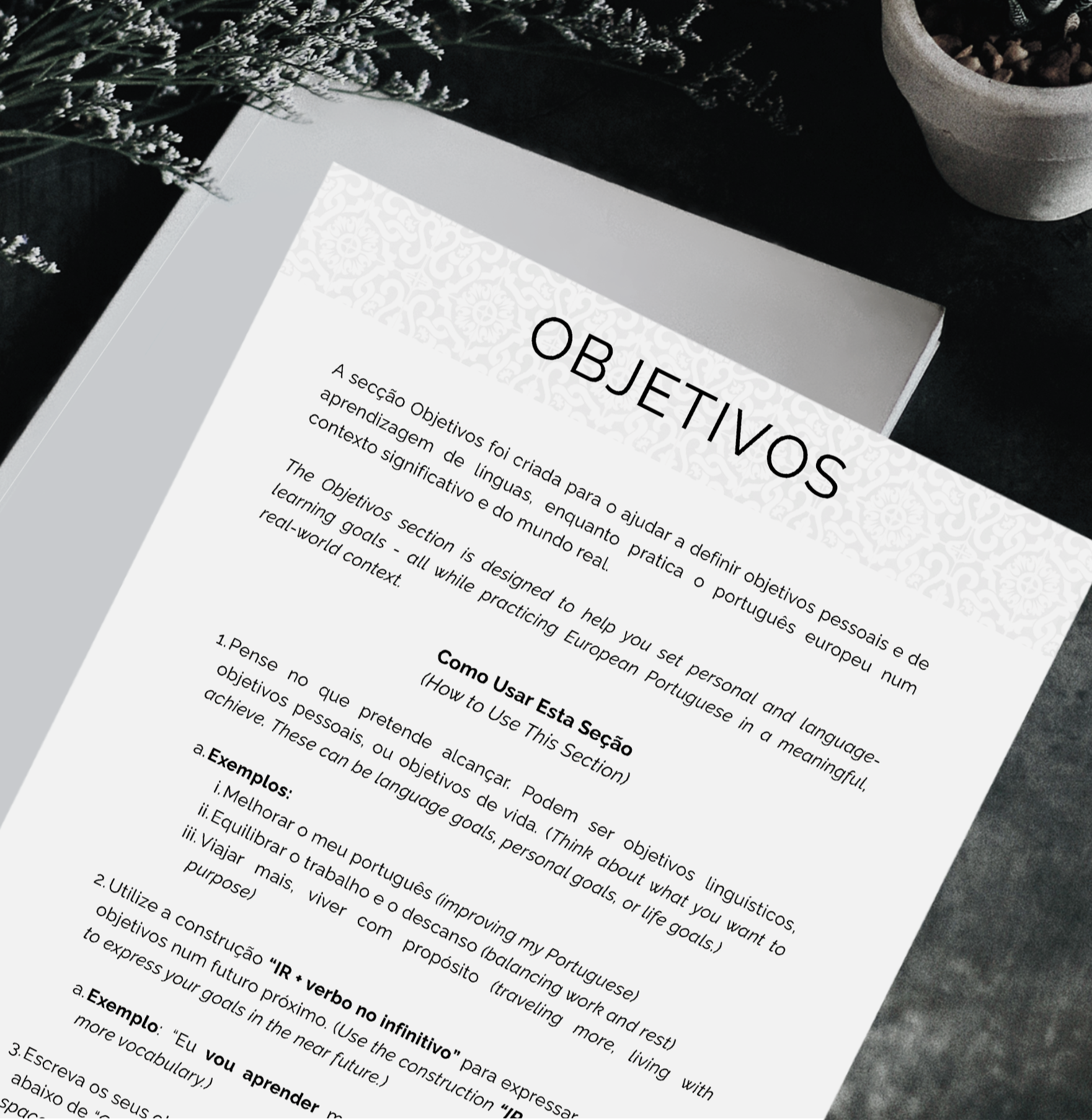 A printed sheet titled 'Objetivos' in Portuguese and English, explaining the objectives of a learning section about Portuguese language and culture, featuring lists and examples, partially on a desk with a potted plant and decorative object.