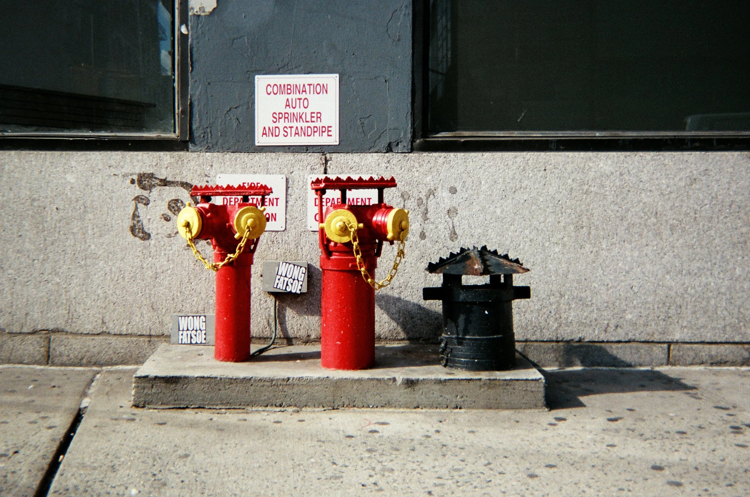 Ornament of daily life