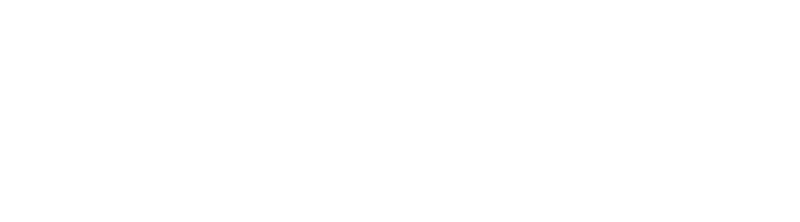 WSL-QBBQ.png