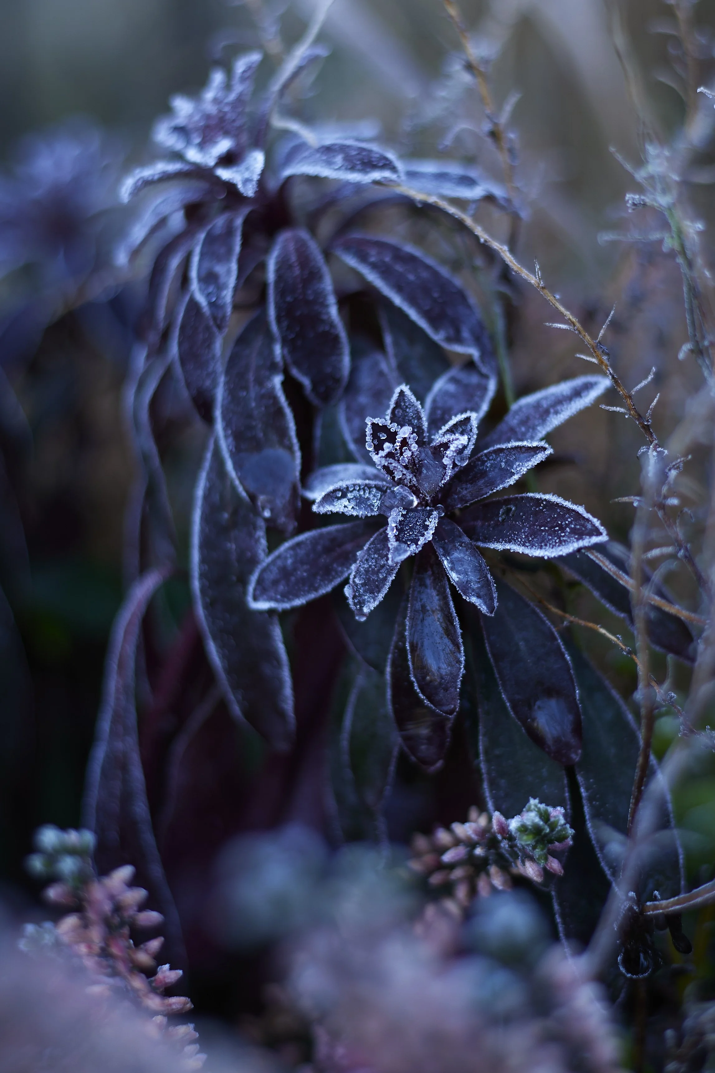 Gardening for Beginners: Foundations for a Flourishing Garden | £25