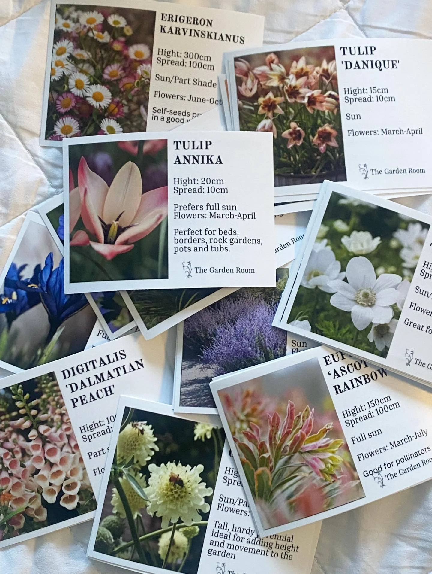 Looking forward to the first plant sale tomorrow, albeit a little nervous&hellip;. Will the weather hold out, do I have enough stock, maybe too much&hellip; will anyone come?! This sale will be in the driveway but after that they will be in the back 
