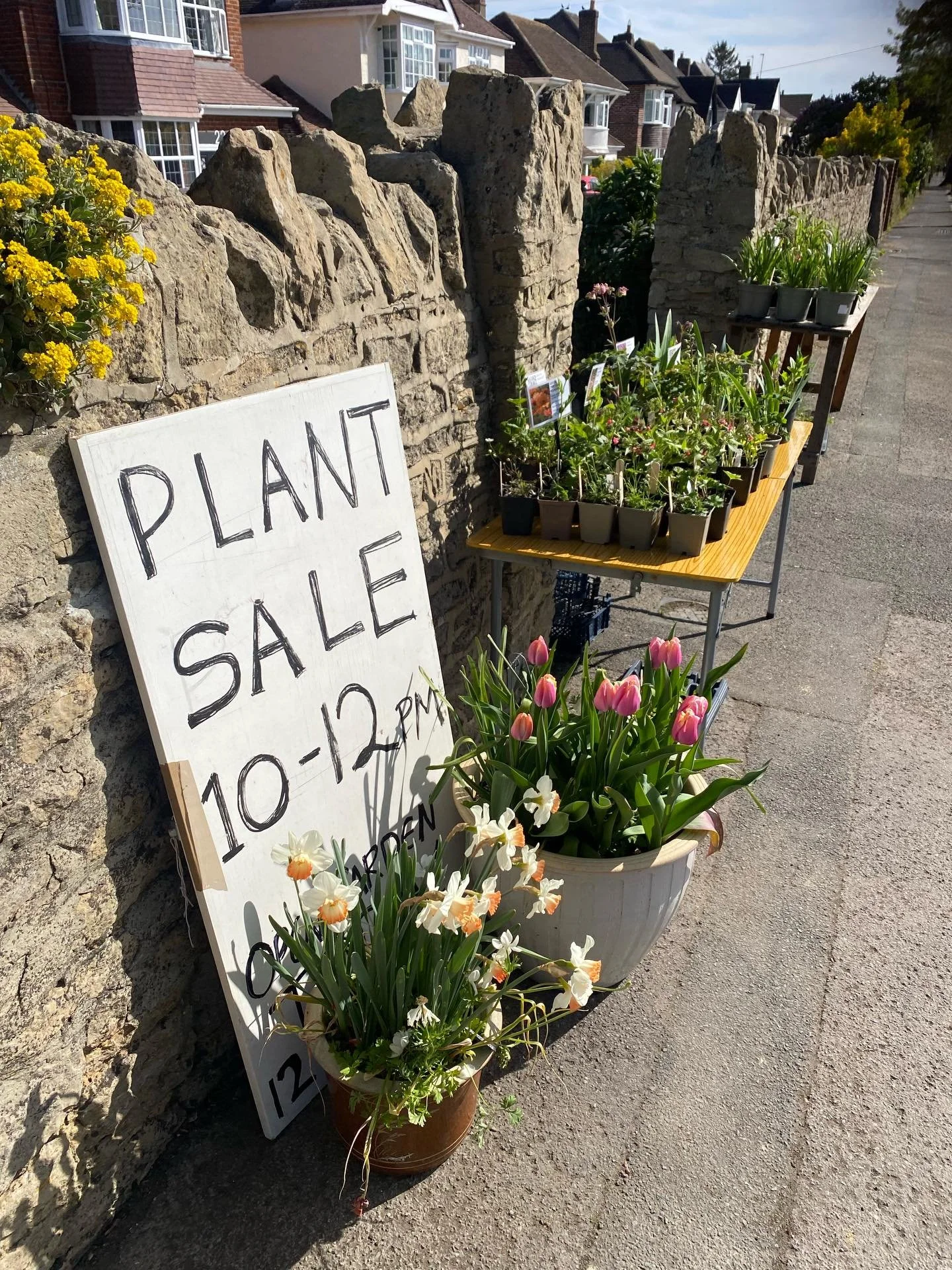 Today 10-12pm 
219a Marlborough road
🌿🐝