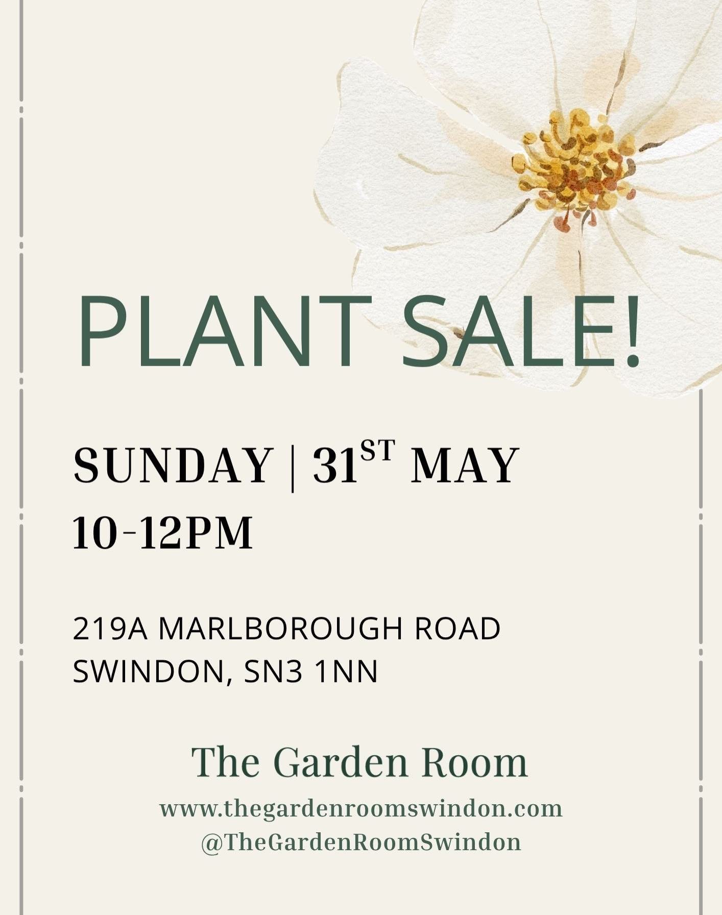 ✨Plant sale this Sunday 10-12pm! ✨
219A Marlborough Road. 
Good time to plant just before next weeks rain and cooler temperatures. Few tomatoes, squash and cucumbers too. 🌿☀️