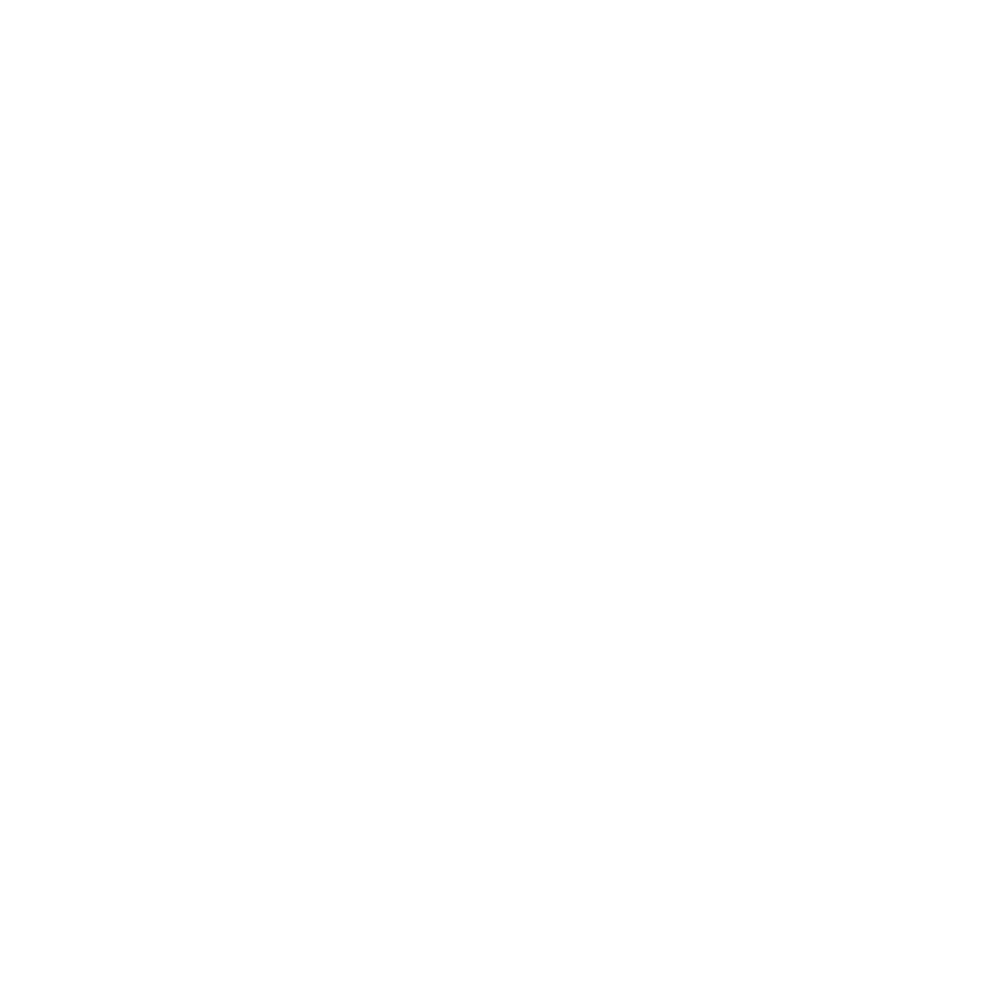 Pier 1 Imports logo