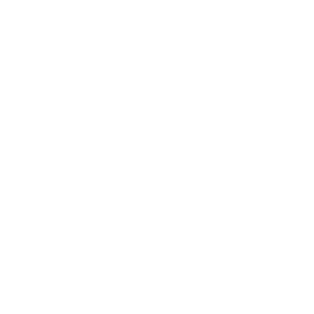 Nextpro logo