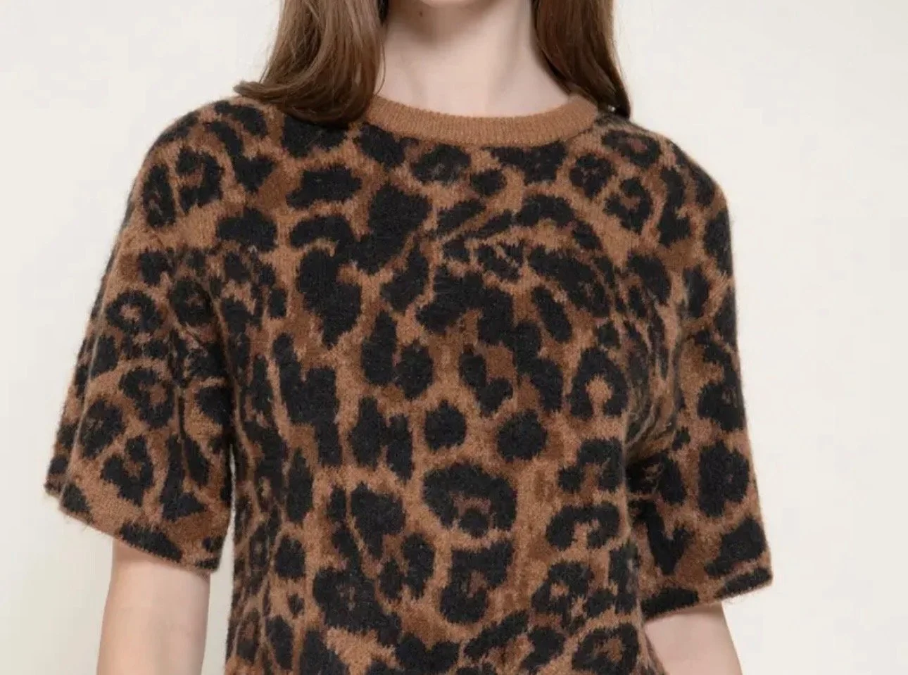 cheeta.jpeg