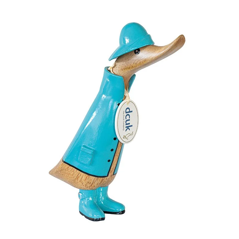 Blue raincoat duck