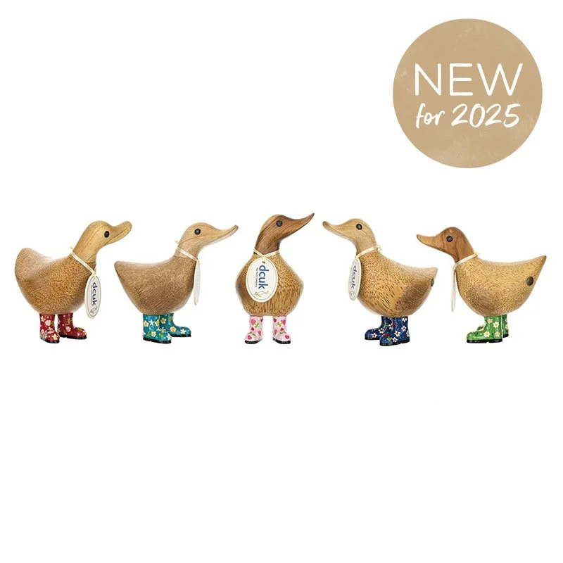 IMG_3323.jpeg (Copy) (Copy) (Copy) (Copy)