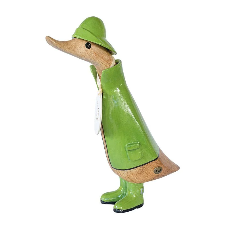 Green raincoat duck