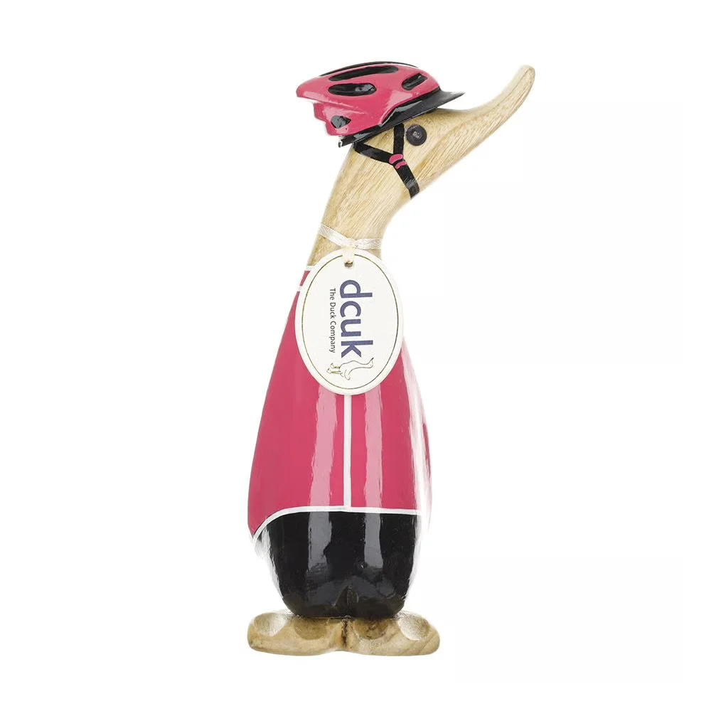 Pink cyclist duckling