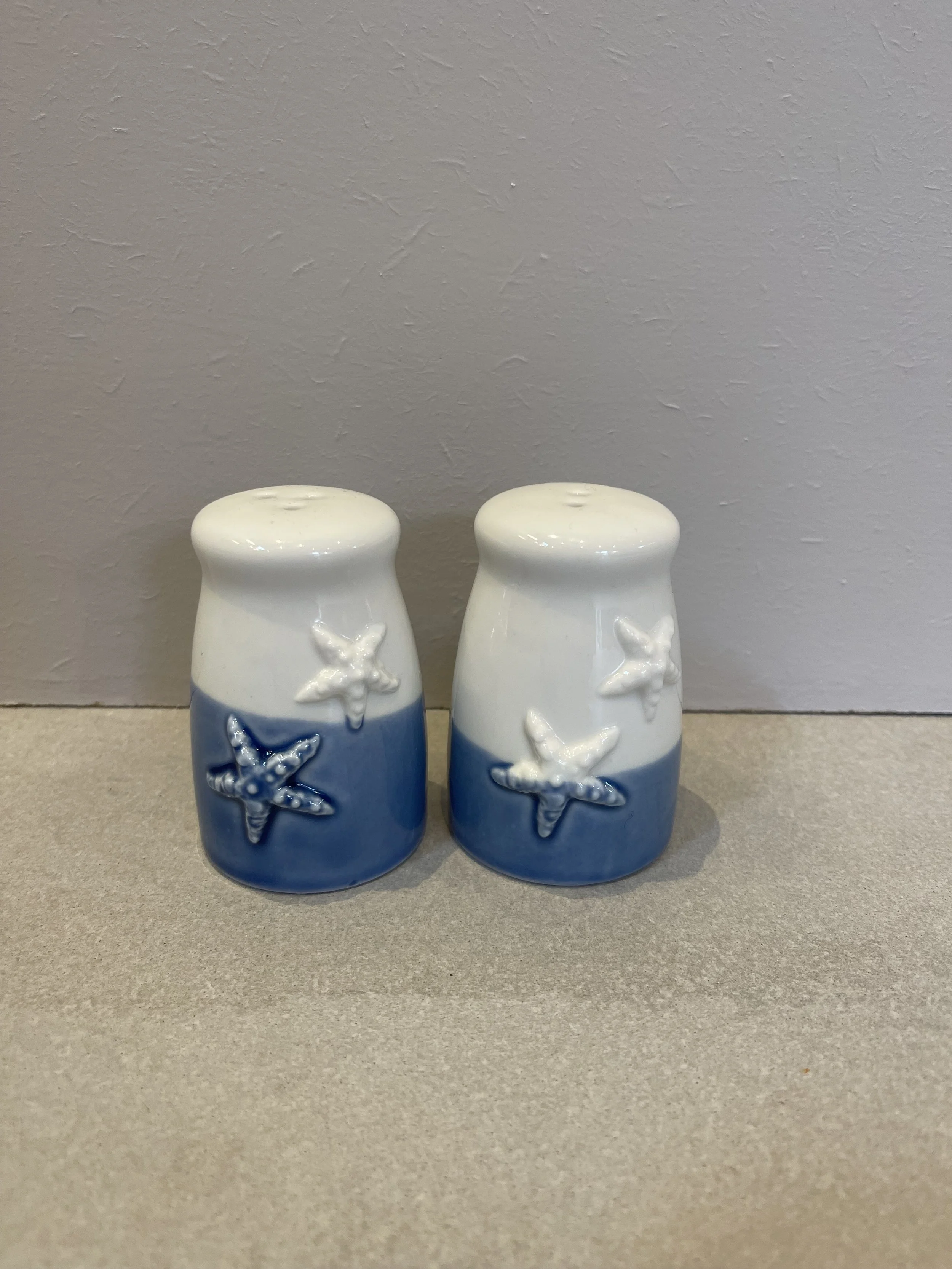 Blue and white coastal salt and pepper shaker set