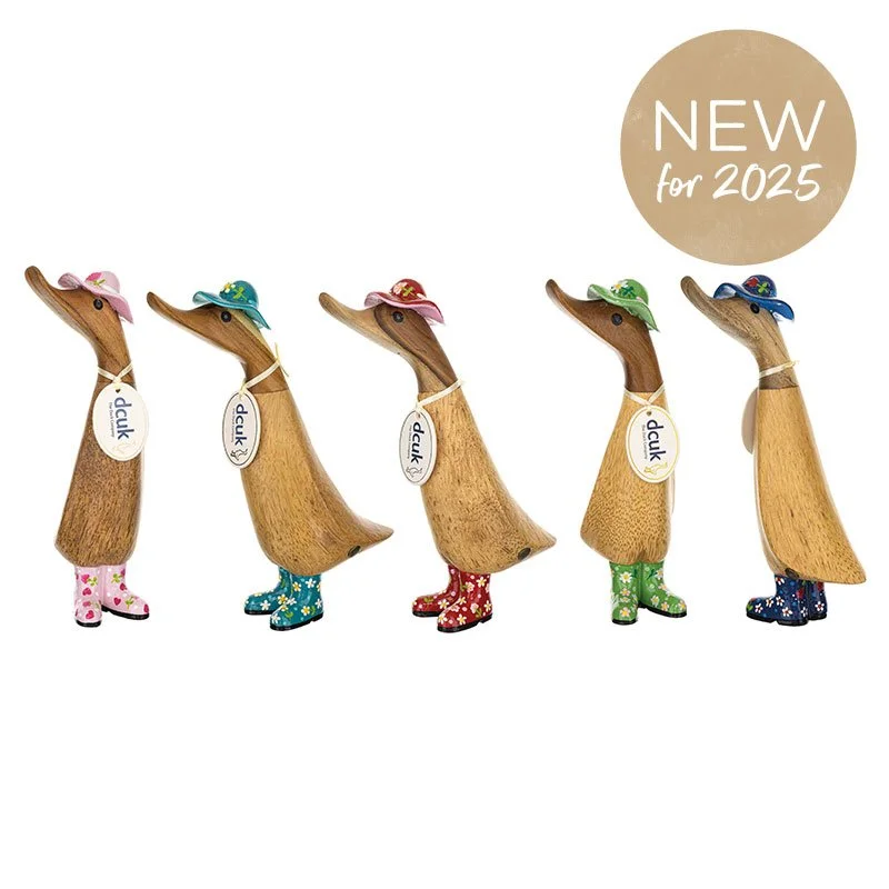 IMG_3324.jpeg (Copy) (Copy) (Copy)