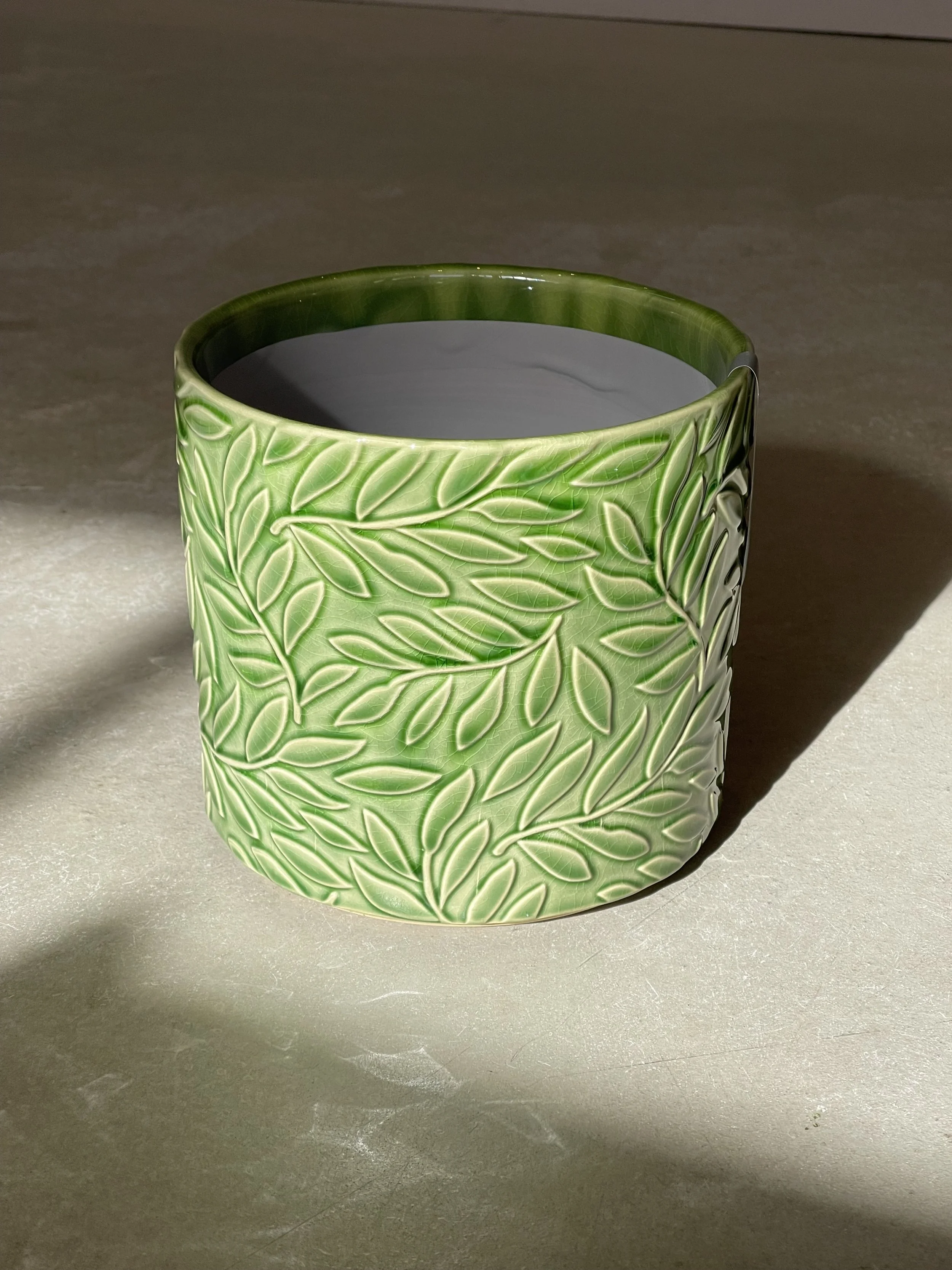 IMG_6739.jpeg
