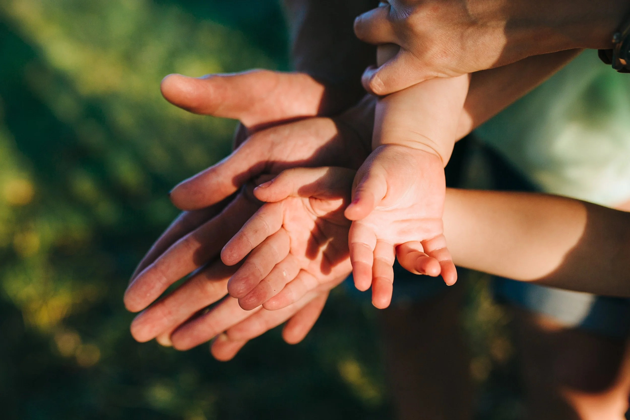Multiple hands, including child’s and adult’s, holding each other outdoors with a blurred green background.