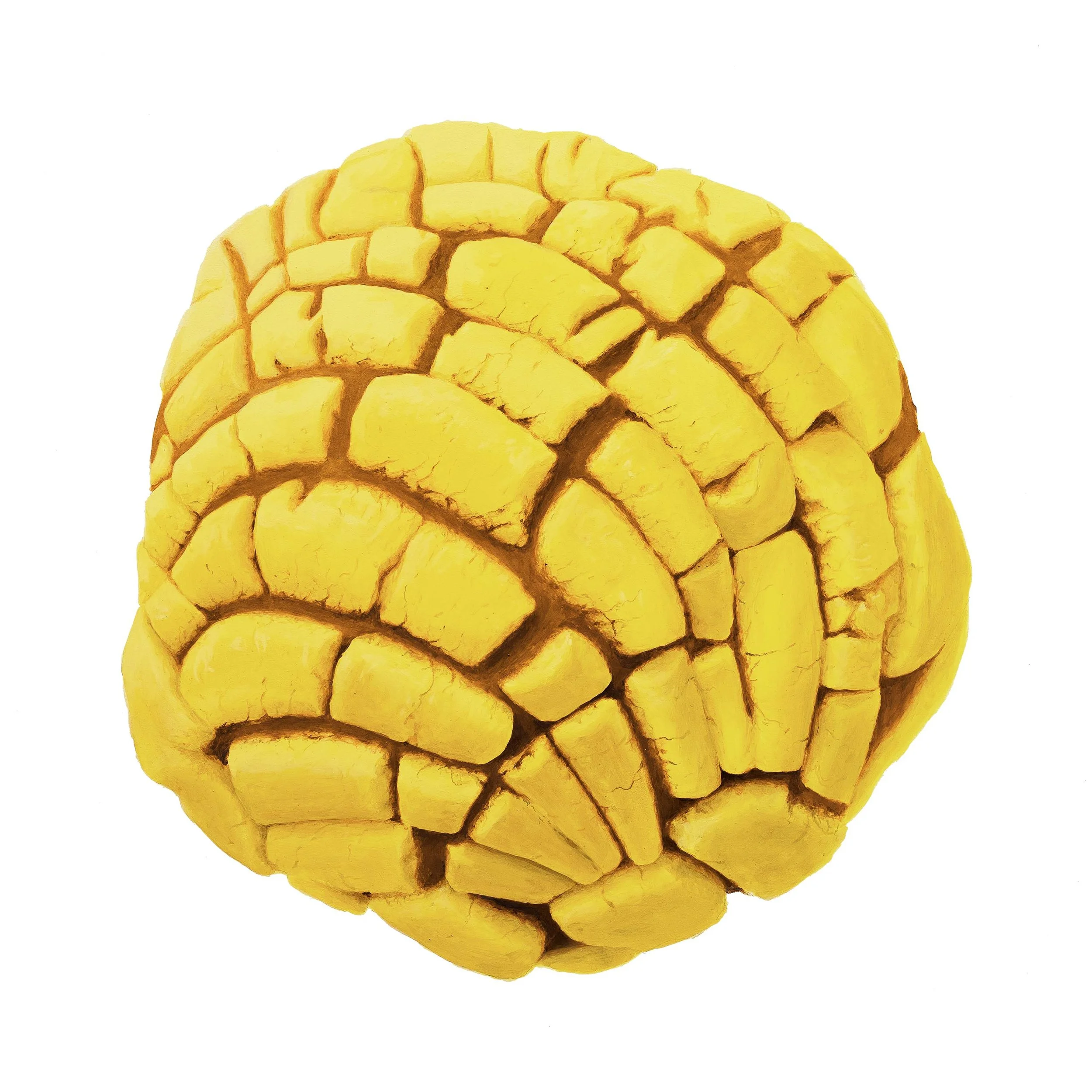 Concha #6 30x30B.jpg