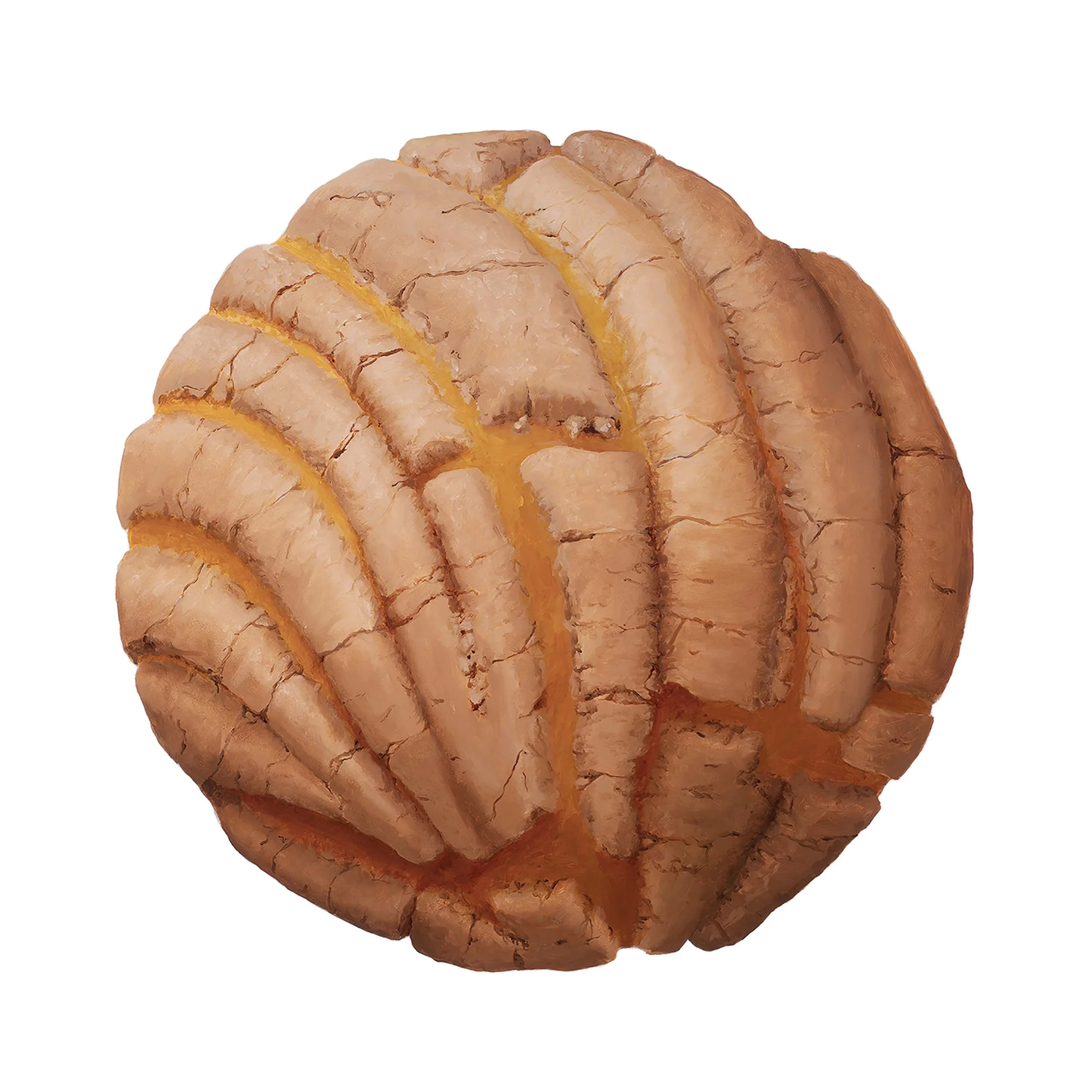 Sanchez Chocolate Concha 8x8.jpg