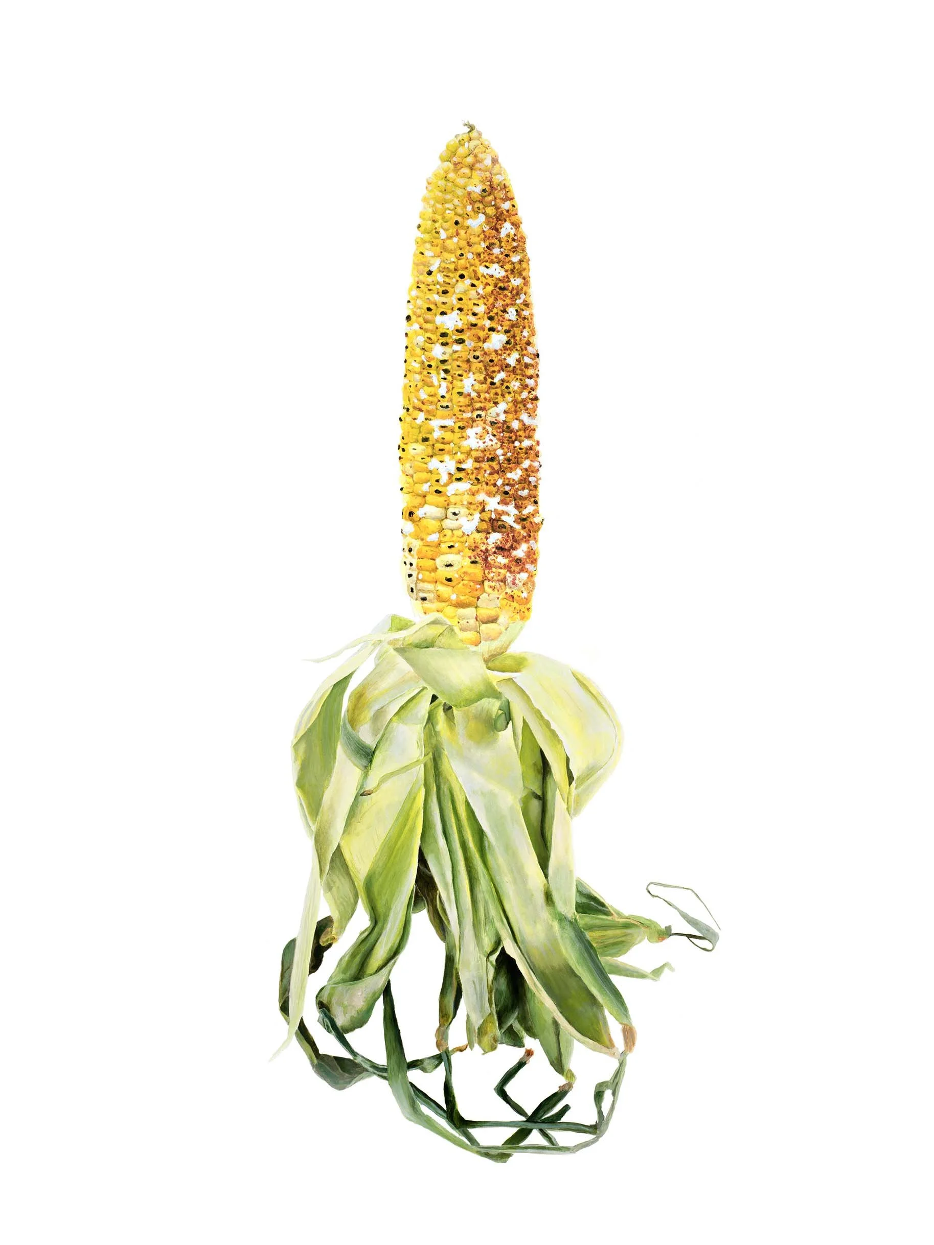 Corn