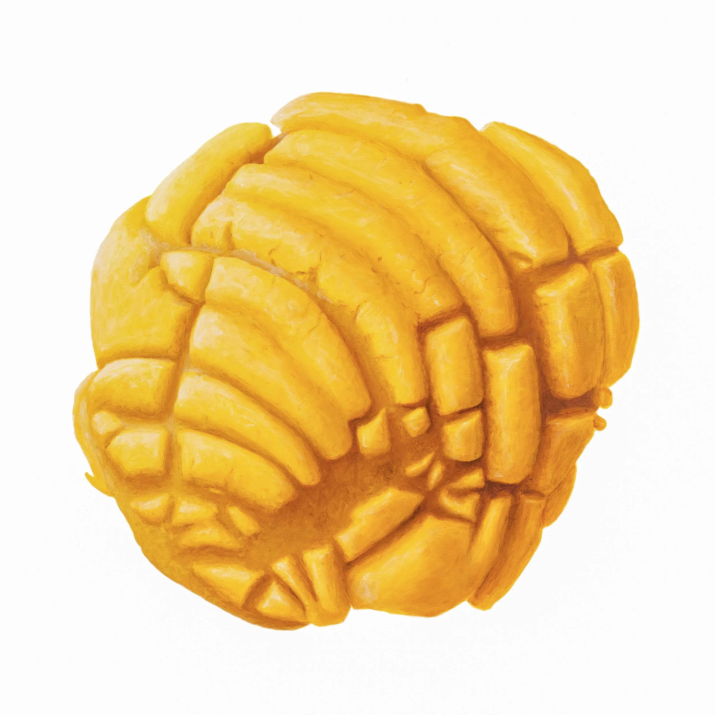 Concha #3 30x30B.jpg