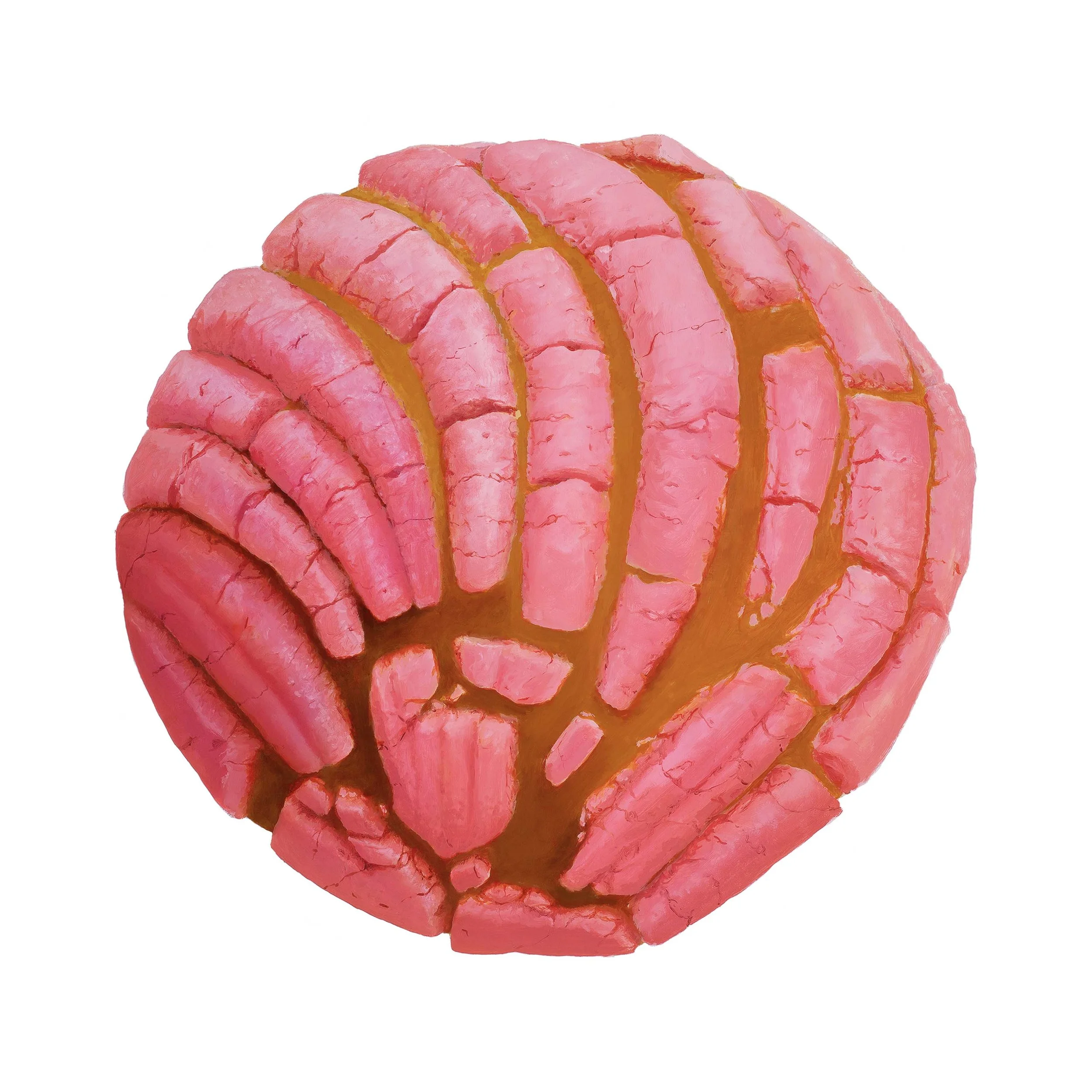 Sanchez Pink Concha2 proofH.jpg