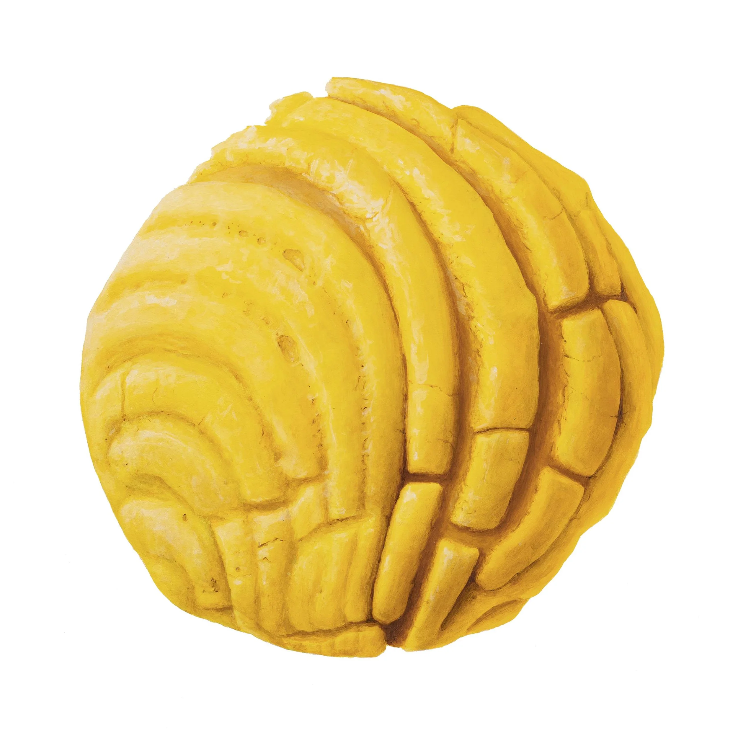 Concha #5 30x30B.jpg