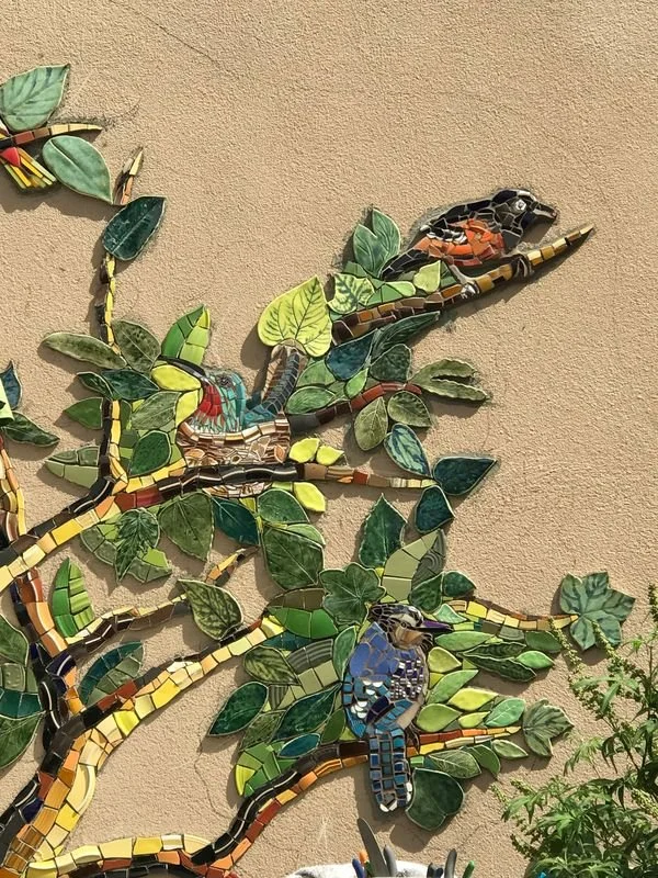 Details for tree.jpeg