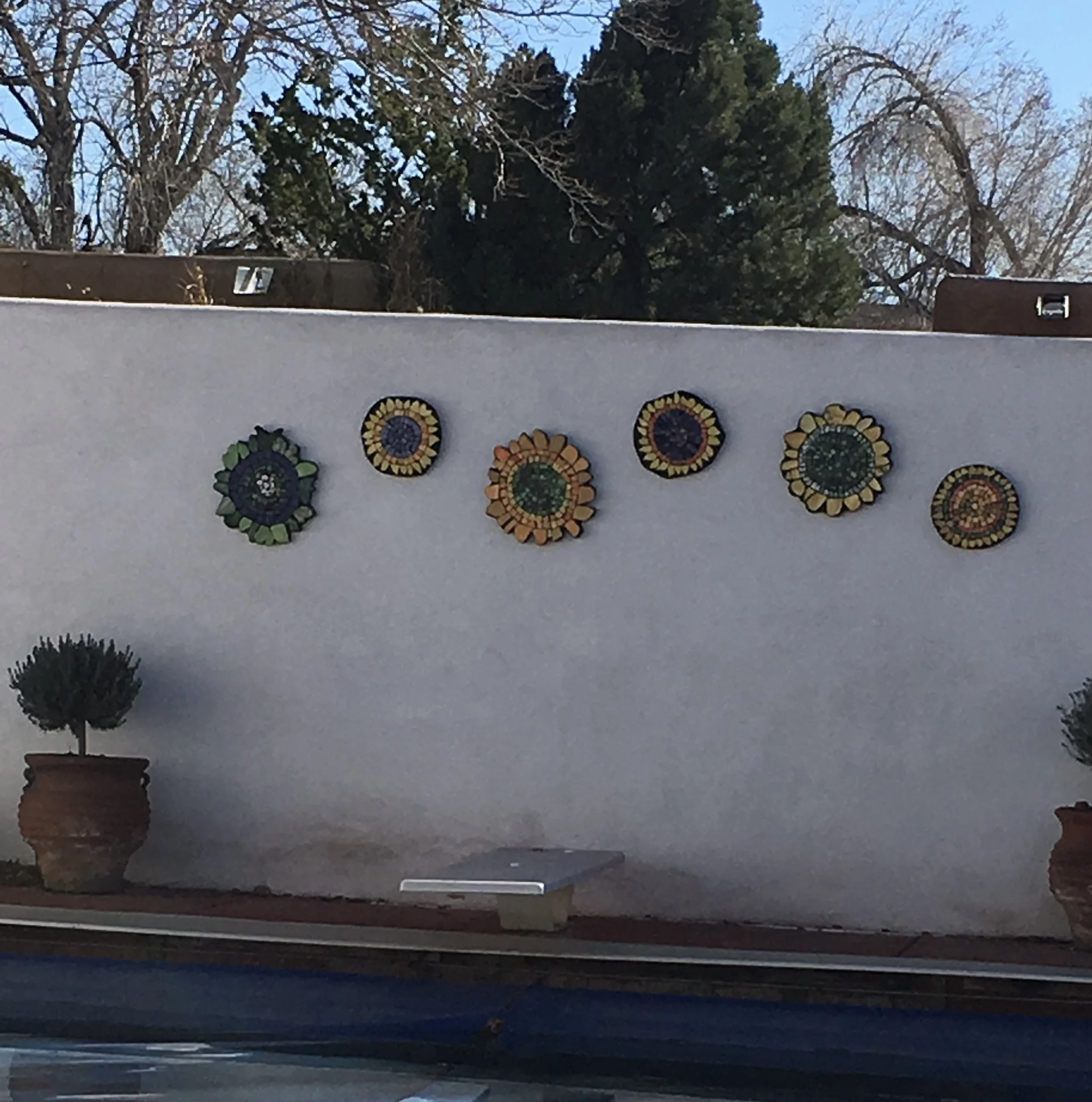 Private commissioned sunflower pool wall