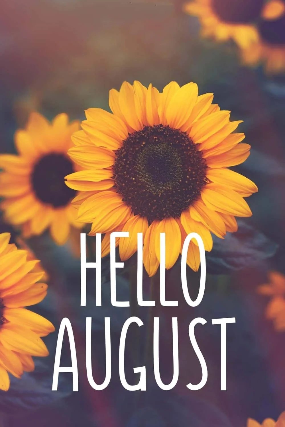 August Legacy Letter 