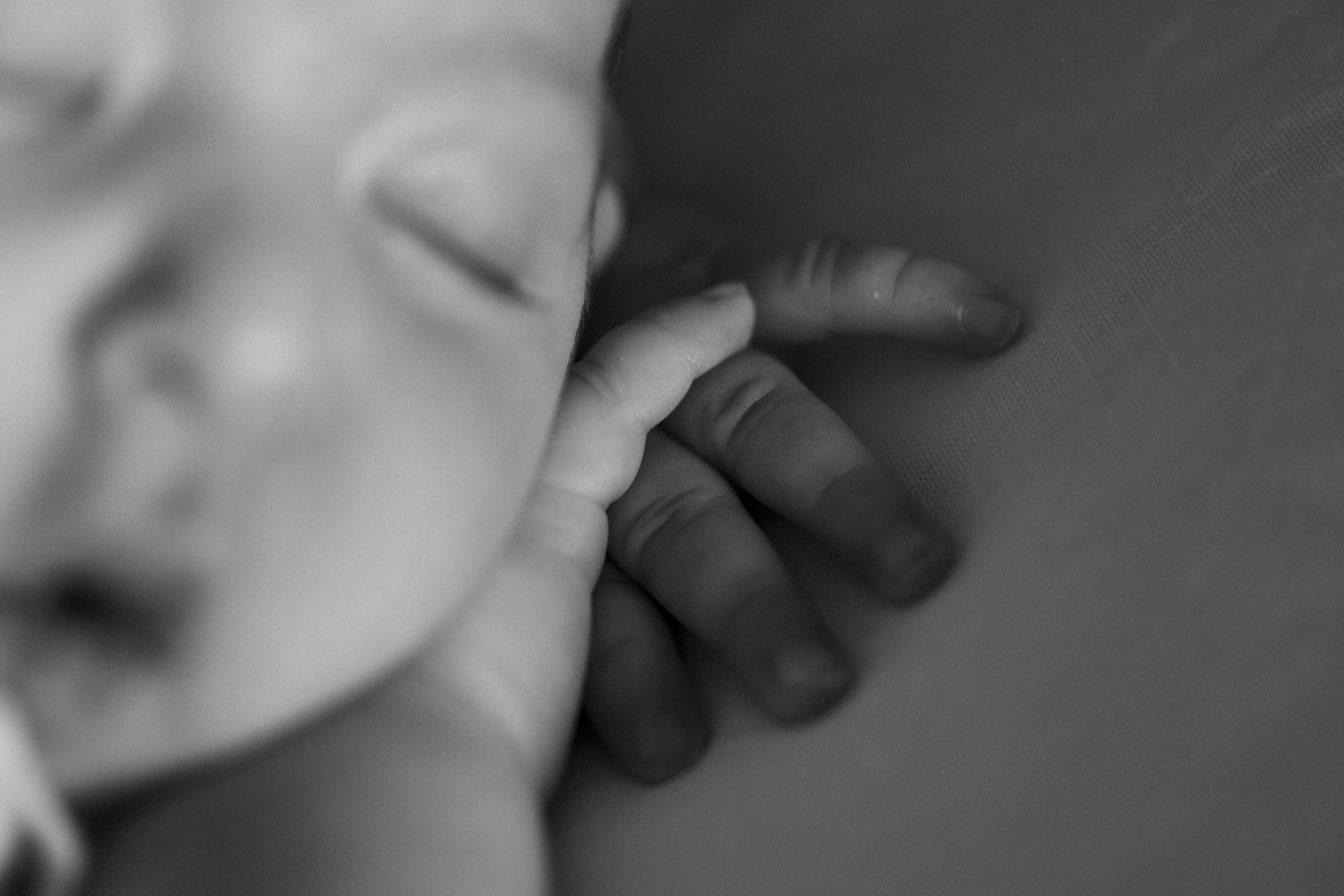 0O0A8098.JPG