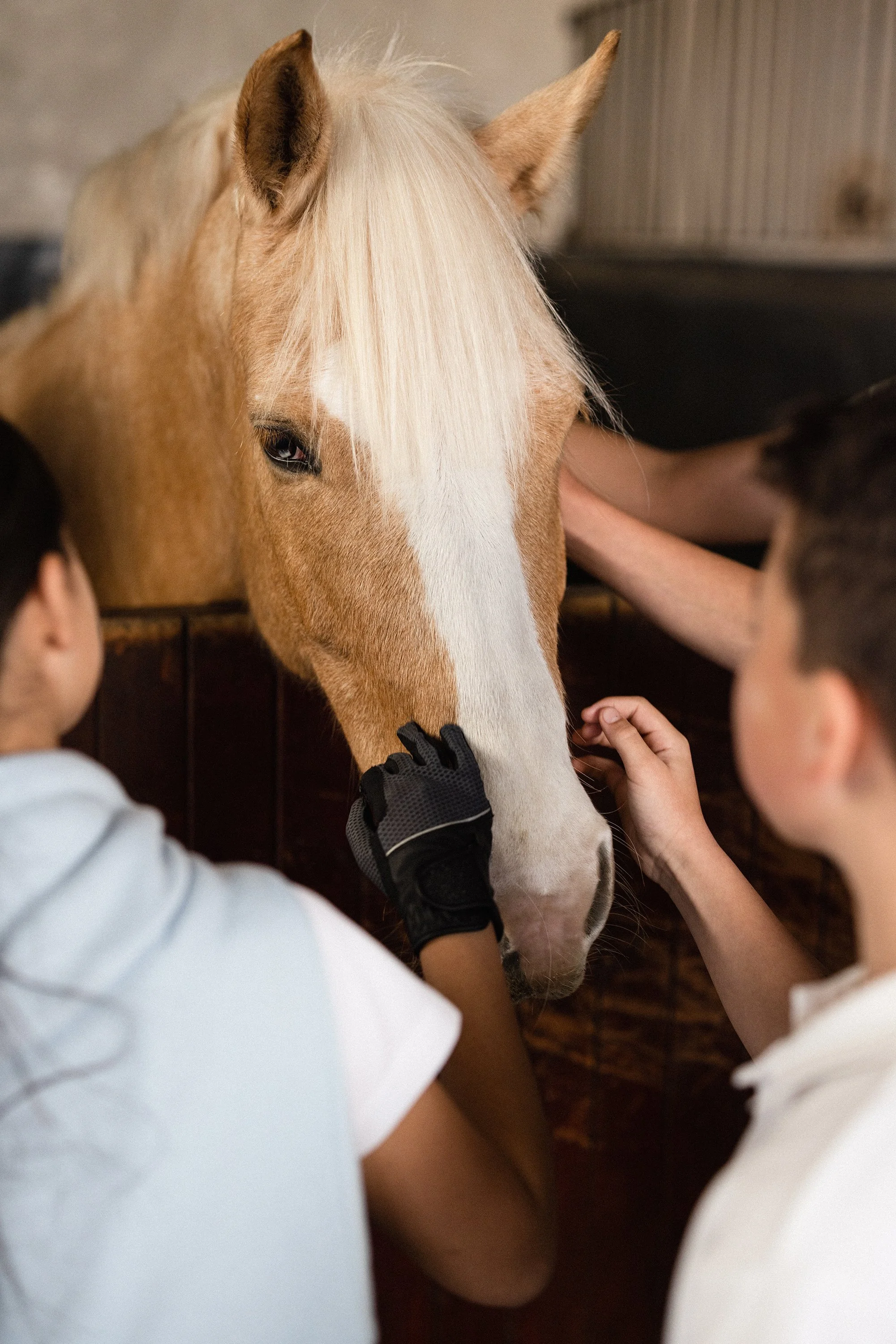 LSYJ_Horse Riding_CAP24_83.jpg