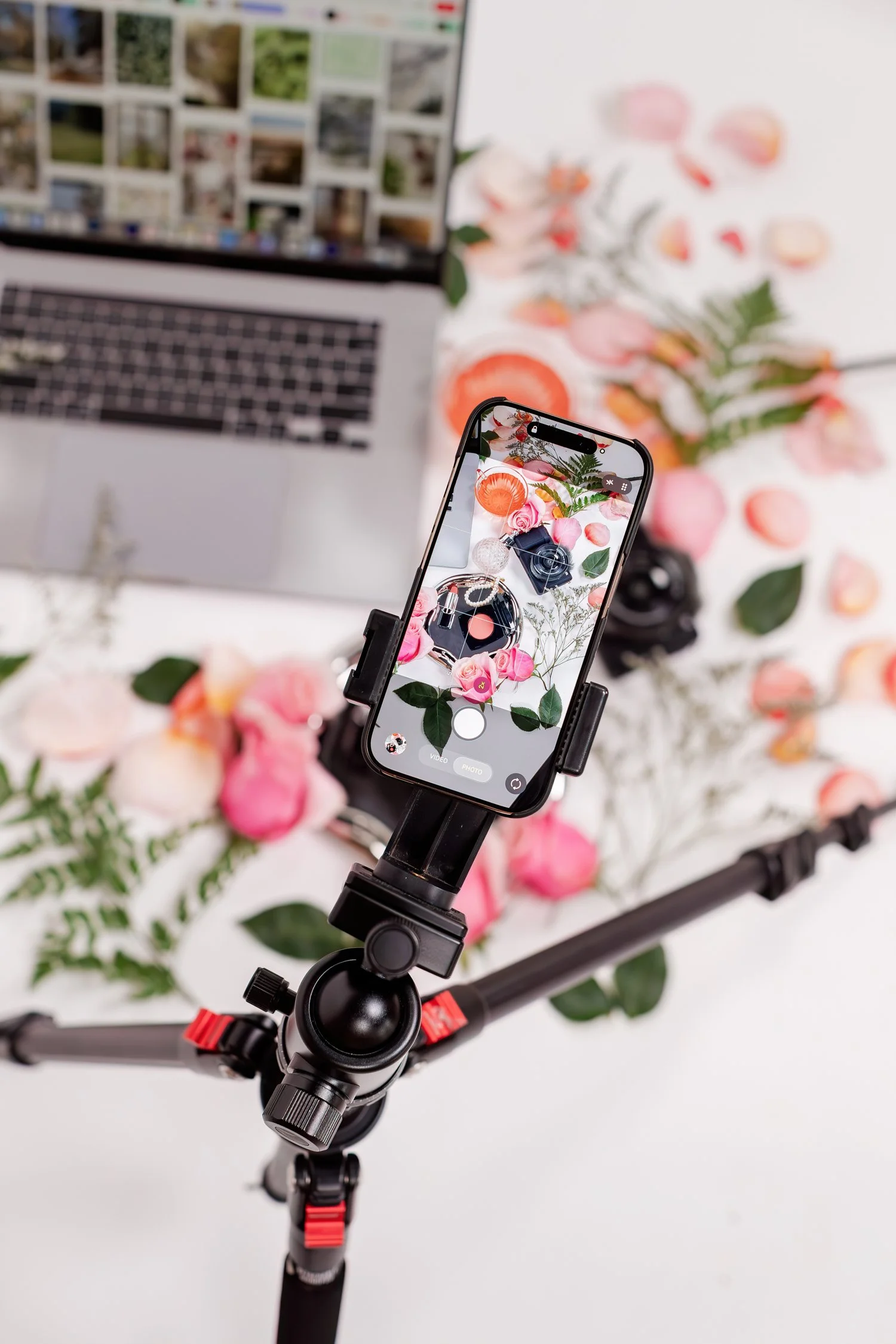 417 photographer brand photography by jordan brittley-1.jpg